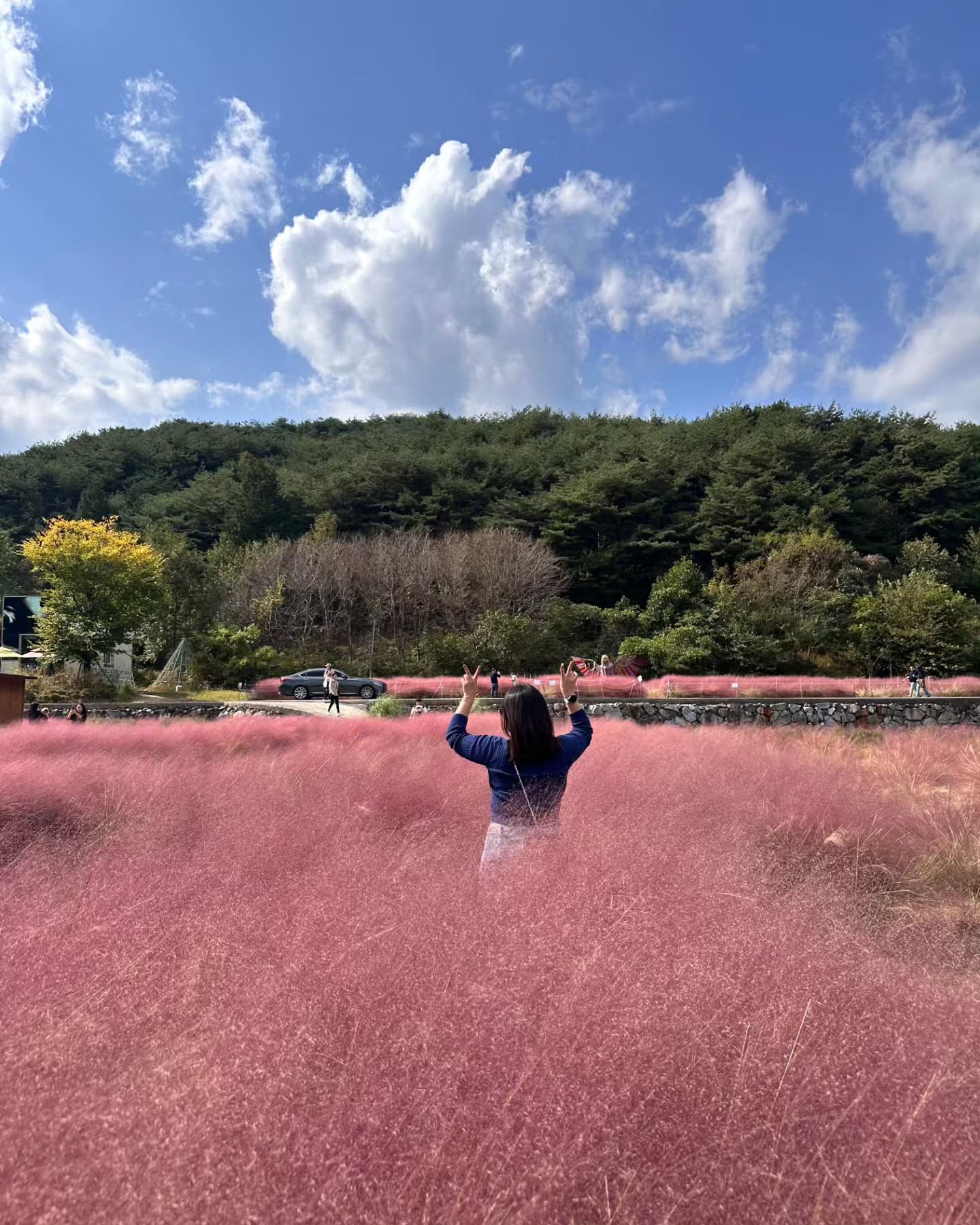 .
핑크뮿리 보고 기분 최고🩷
하동 최고🩷

#하동 #핑크뮬리 #🩷