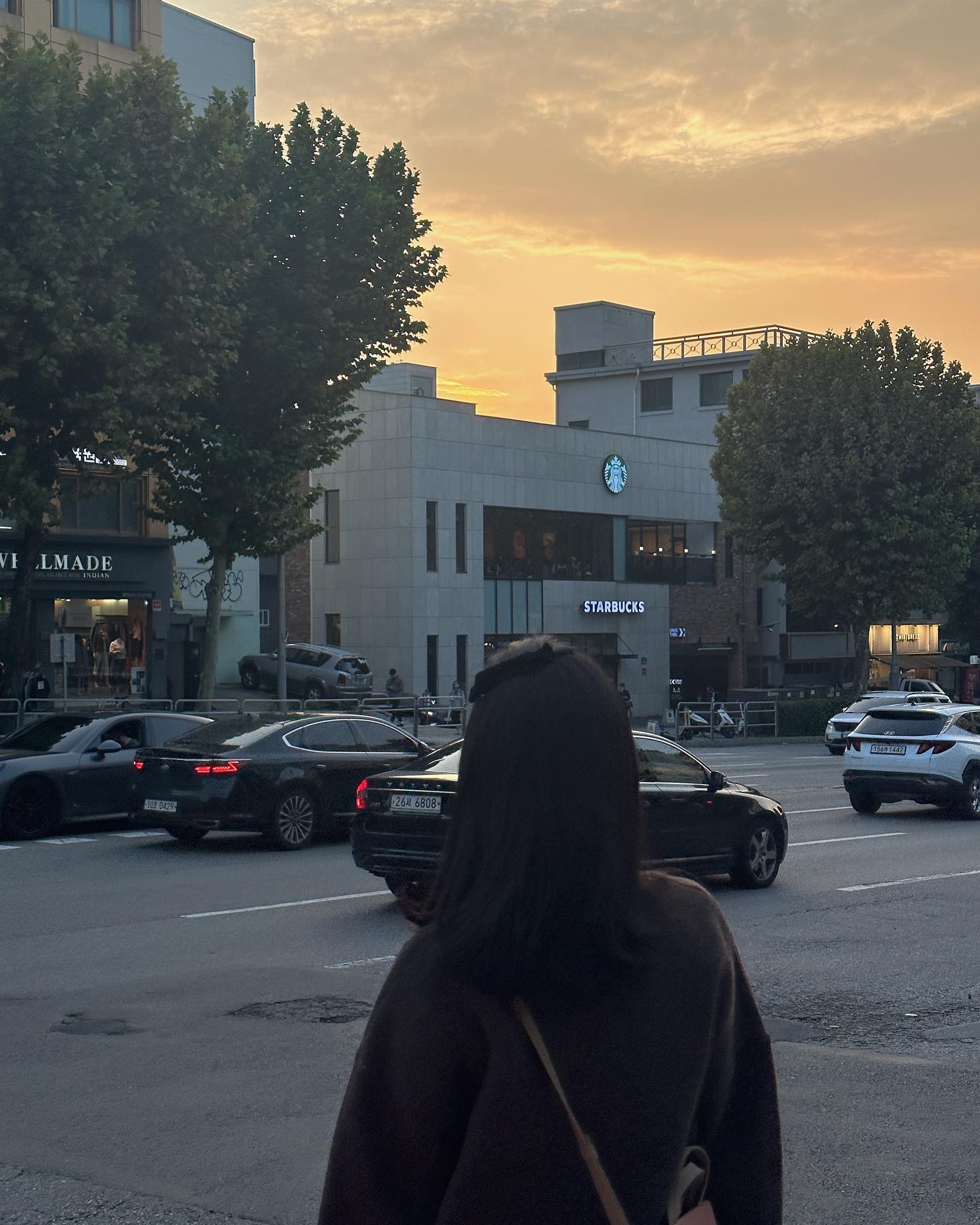 주말 요약🌼
먹고, 붓고, 먹고, 붓고 의 연속 !