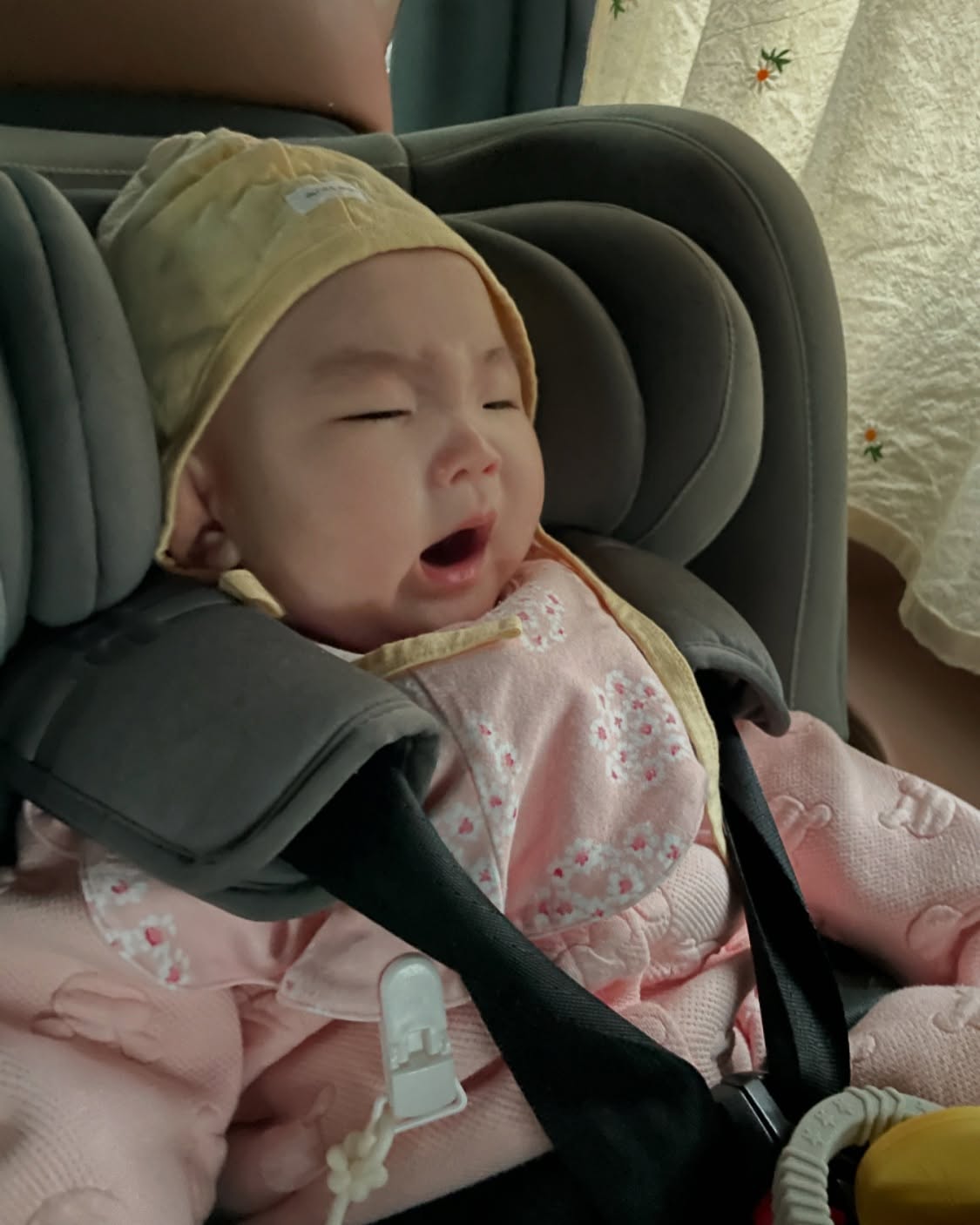 ㅎ ㅏ품 냐 🥱