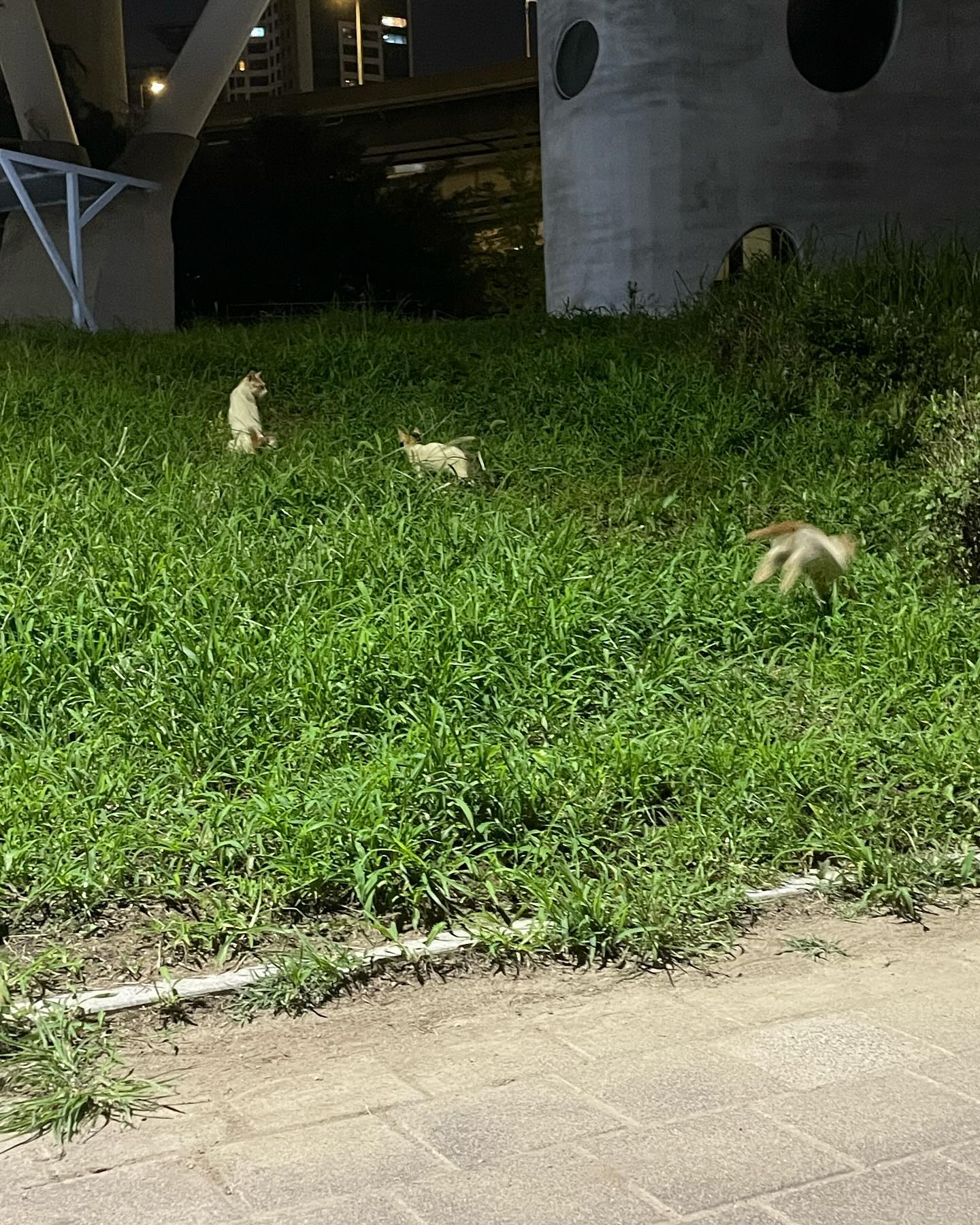 10분 거리에 있는 분식집뷰 헬스장에서 자정까지 운동하기
운동 끝나면 명랑핫도그, 햄버거 등등 유혹 뿌리치며 집가기
갑분 1분 거리 코노 가서 실컷 노래 부르기
퇴근길에 보이는 수많은 분식집, 크로플, 빵집, 베스킨라빈스, 붕어빵, 그리고 마지막엔 띵똥와플을 보며 ‘와, 맛있겠다’ 하고 집가서 집밥 먹기
30분 거리에 있는 한강변을 새벽까지 걷고 무섭지만 안 무서운 척 집 걸어오기
이른 아침에 부지런한 주민분들을 존경하며 어린이대공원 걷기
쌩쌩 지나가는 오토바이, 담배 냄새, 시끄러운 차들, 술기운에 한껏 달아오른 사람들 보며 귀 막고 코 막고 빨리 걷기
캠퍼스 산책하며 대학생 기분 내기
기분 좋게 일찍 깬 주말에 성수동 가서 맛있는 빵 사먹기
맥주가 당길 때 5분 거리에 있는 마트에서 맥주 사오기
3분 거리에 있는 24시 무인세계과자점 가서 군것질거리 사먹기
7호선, 2호선 환승 개!꿀! 잠실도 금방 가기
갑자기 춘천 가고 싶을 때 한 시간 반 만에 춘천 가기
배달되는 음식점이 너무 많아 배달 주문을 포기하기
딸케 맛집에서 딸케 여유롭게 포장해오기
퇴근길에 5,000원으로 닭강정의 행복⭐️누리기
멋쟁이들 사이에서 후질근한 옷차림으로 부끄럽지만 당당한 척, 땀흘리며 코인빨래방 가기
헌팅포차에 길게 줄 선 어린 친구들 보며 ‘좋을 때다’ 하고 엽떡과 함께 집가기
1분 거리 분식집에서 안 뜨거운; 우동 먹기
카페가 너무 많은데 이번엔 어디를 가볼까? 고민하기

는 이제 곧 나의 과거 일상이 되겠다