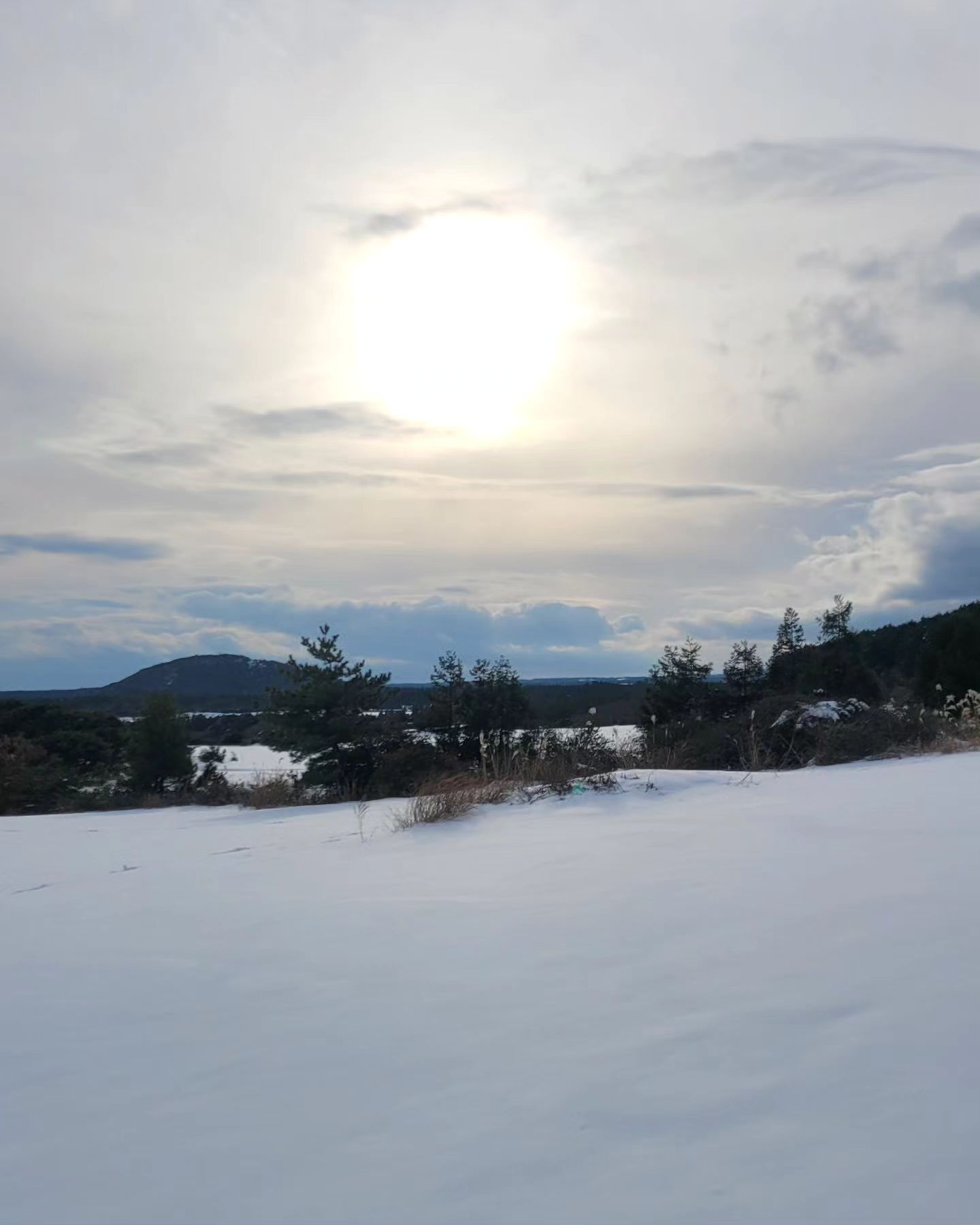 .
#겨울왕국❄️ #하얀제주☃️ 
.
3일동안 눈이 어마어마하게 쏟아진 제주도
운전하기 힘들고 무서운 단점이 있긴하지만 #너무너무예쁘다😍 
.
많이 가본곳인데도 눈이 쌓여있으니 새로운 곳 같은 느낌 #여행온기분☺️ 좋구나좋아♡
.
.
#제주살이 #제주라이프🌴 #눈덮인제주 #눈길드라이브 #따라비오름 #무릎까지쌓인눈 #깨끗한눈밭에발자국찍기 #쌔눈밟기 #다젖었지만 #신났던오후 #스타벅스송당파크r점 #커피타임 #몸녹이기