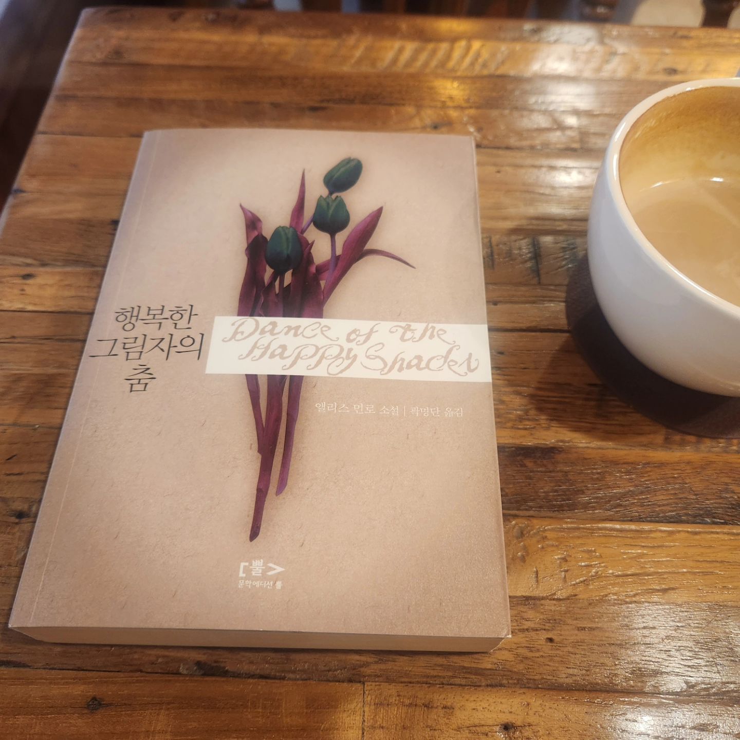 앨리스 먼로의 별세 소식을 듣고 [행복한 그림자의 춤]을 카페 창가에 앉아 읽는다
"내 삶을 해결할 방법이 불현듯 떠오른 것은 어느날 저녁 셔츠를 다림질하고 있을 때였다"로 시작하는 <작업실>의  평범한 주부의 일상은 '여지는 곧 집이다.  뗄려야 뗄 수가 없`어서 도피하듯 카페나 도서관으로 나와야  숨통이 좀 트이는지라 와닿는다 
아무것도 안해도 창밖을 바라보며 보내는 시간조차 소중하다
작업실을 얻어내고 겪는 작가의 기묘한 일들이 참 흥미롭네
<거지소녀>도 인상적이었고 너무 좋았던 <디어라이프>도 다시 읽고 싶다
10년간 치매를 앓았던 그의 말년은 어떠했을지 짐작할 수 없어
쓸쓸해진다 
1931~2024 
#앨리스먼로
#행복한그림자의춤#작업실
#디어라이프#거지소녀