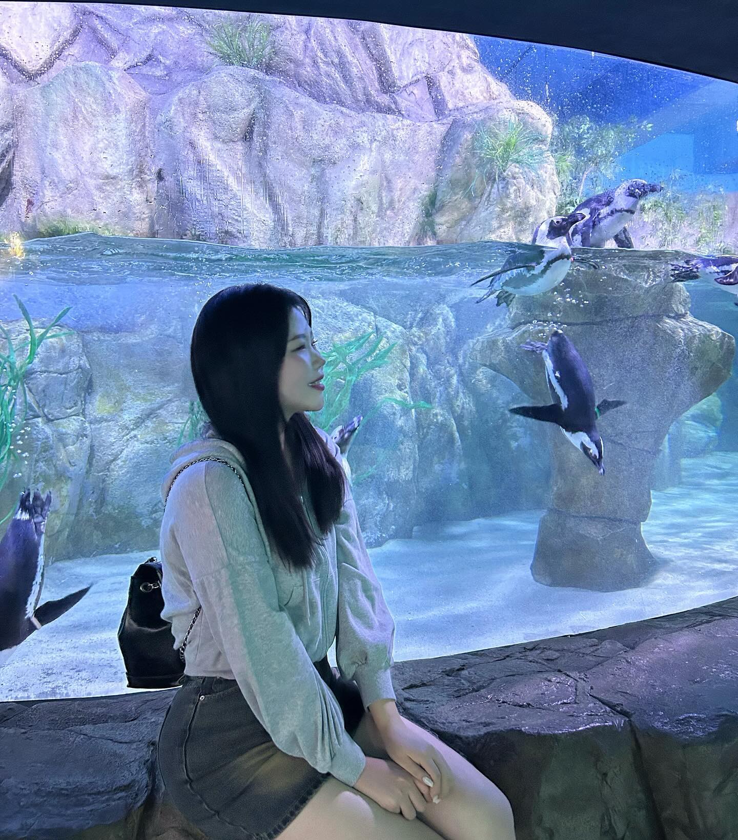 🐧