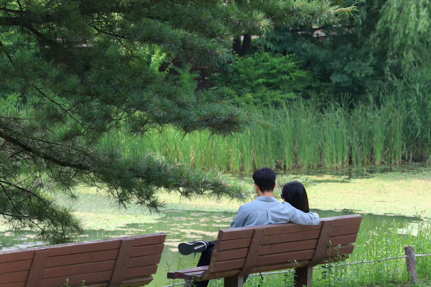 🌿
똥손 이슈로 오늘도 보정 포기;;
삼성 스위치로 옮기는 과정에서 갑자기
화질이 왕창 깨졌는데 넌 또 왜 그러는데..

#올림픽공원 #들꽃마루 #나홀로나무🌳 
#캐논으로찍다 #canonkorea #캐논카메라 
#canonr6markii #100_400mm #사진소통