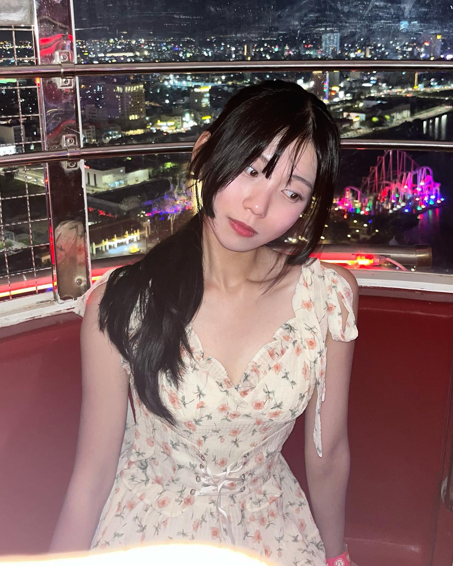 🎡