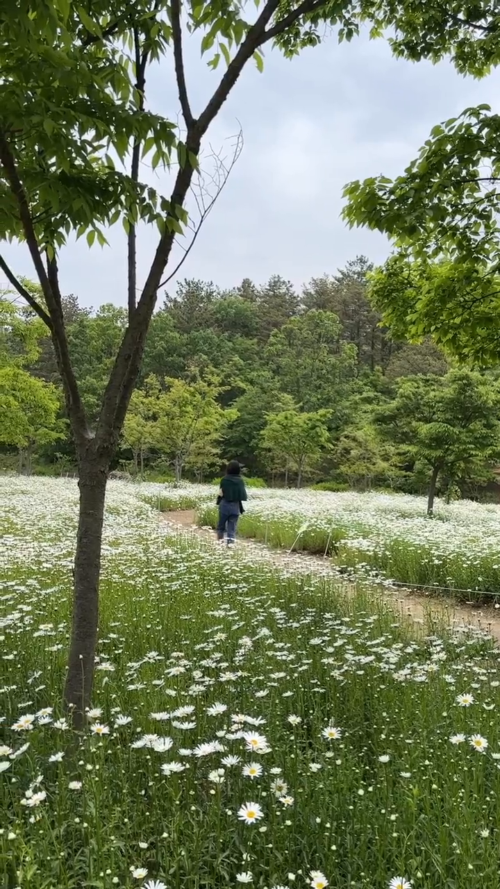 힐링 그잡채💛 행복행
