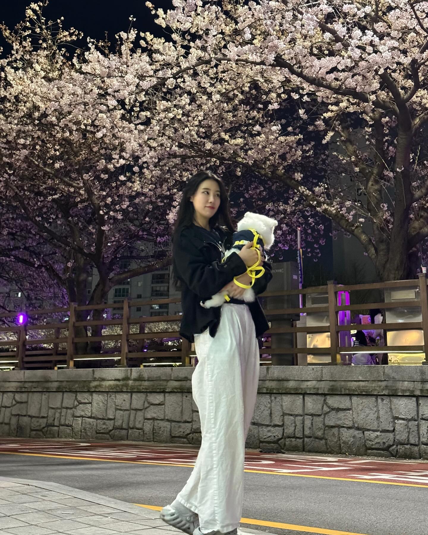 온천천(feat. no 협조 강아지s)
.
.
.
.
.
.
.
.
.
.
.
.
.
.
.
.
#부산 #광안리 #남포동 #멍스타그램 #강아지 #서면 #온천천카페거리 #온천천벚꽃 #산책 #꿍이 #크랩이