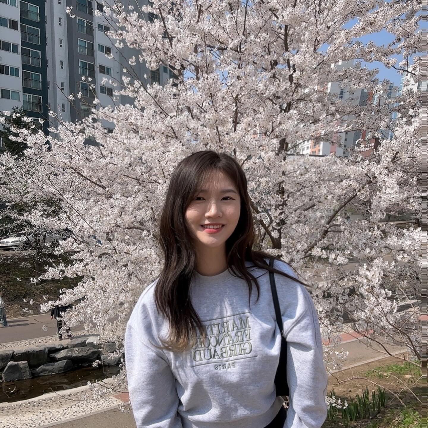 올해도🌸