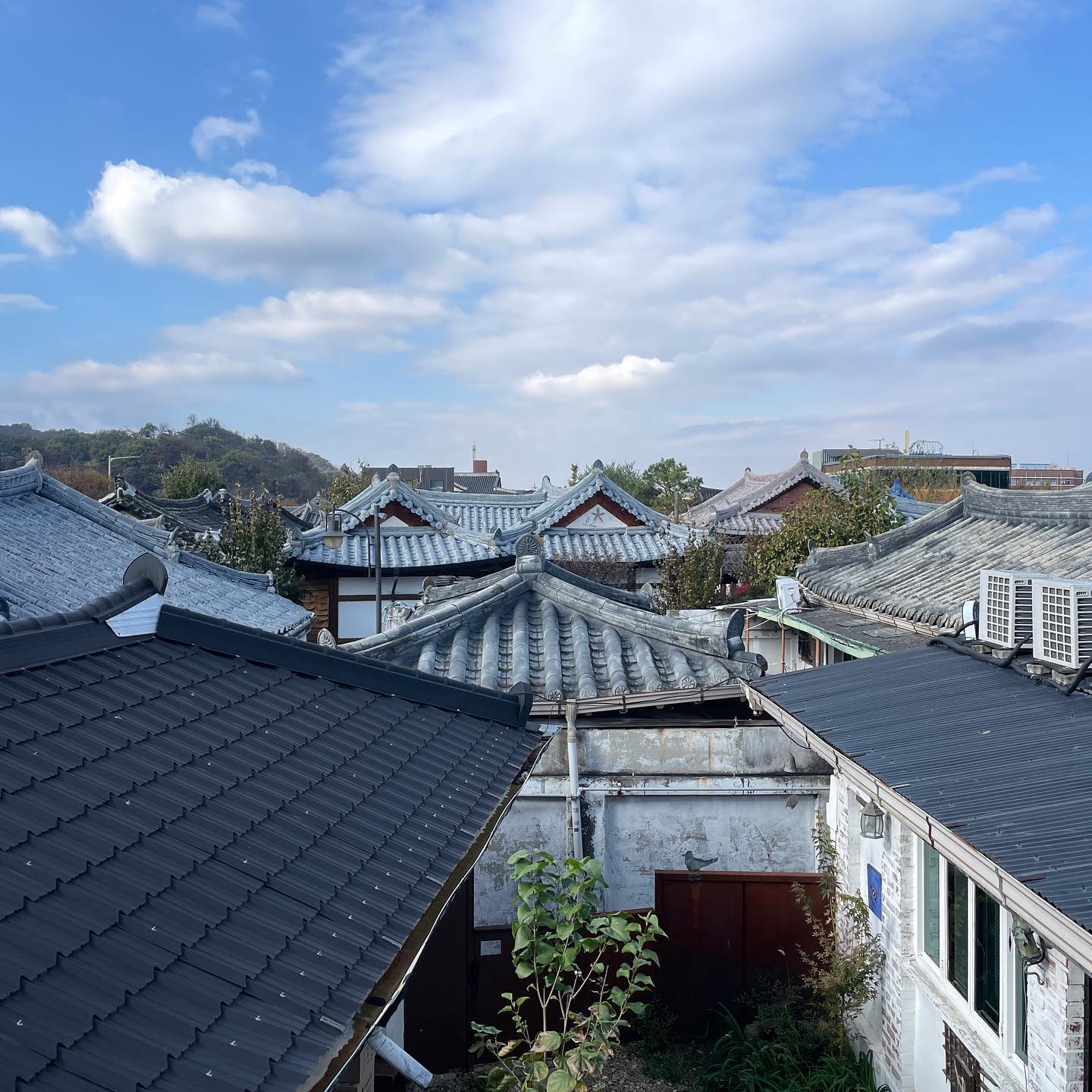 한옥의 낮