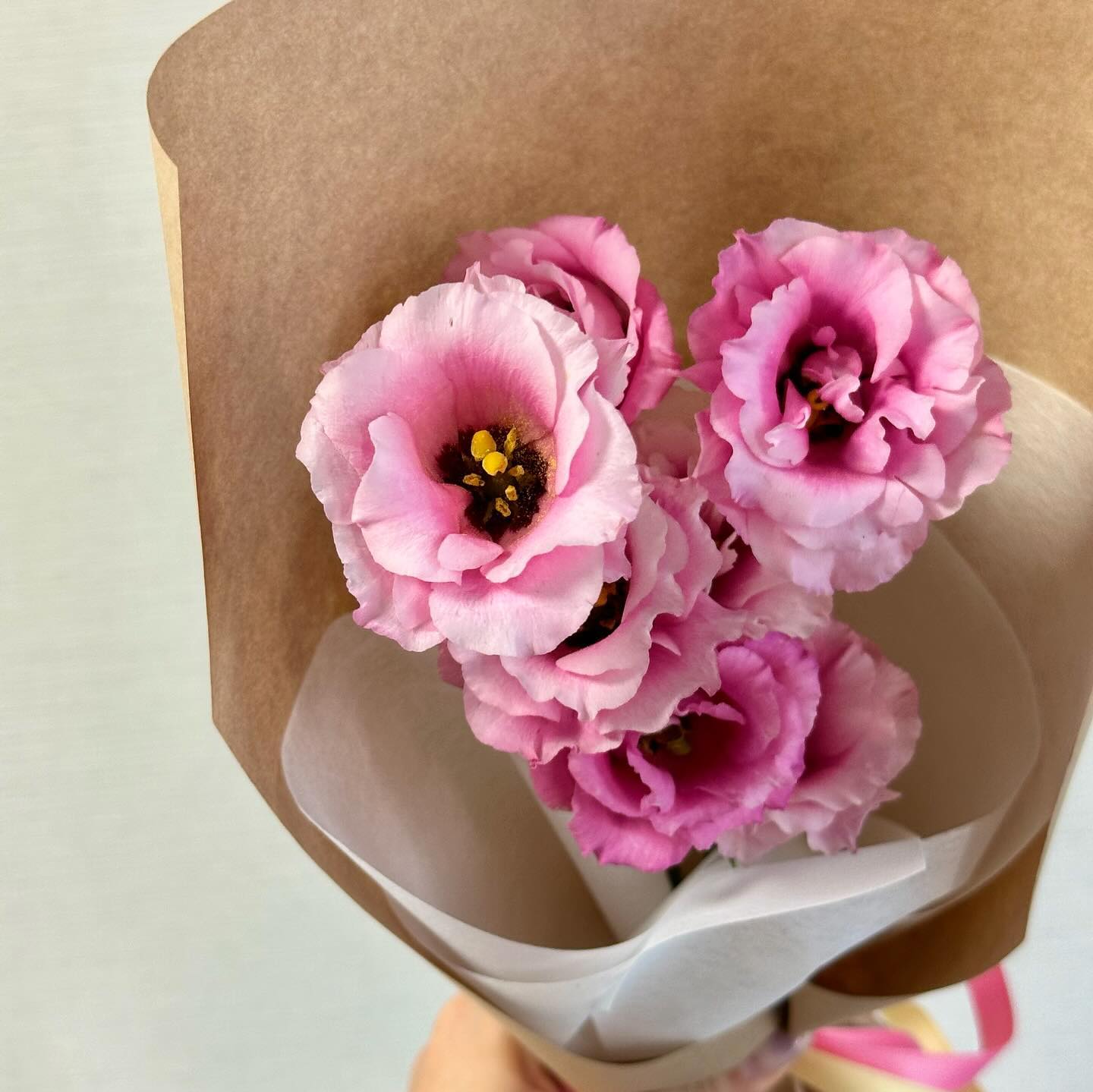 핑쿠데이🌸🎀🩷