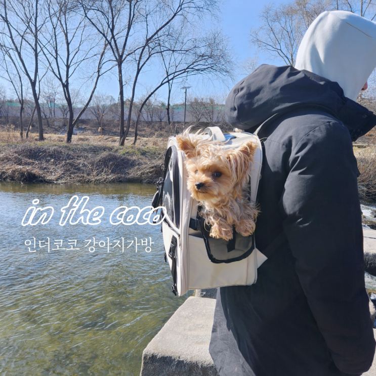 강아지백팩 인더코코 강아지가방 산책 지하철 이동가방 반려견 이동장