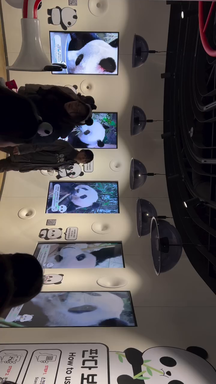 저기 관람차로 갈까요?