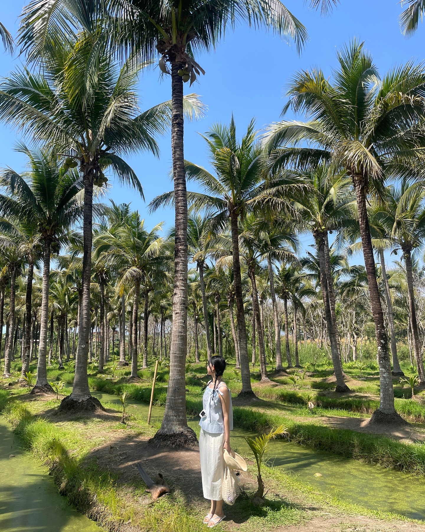 🌴💚