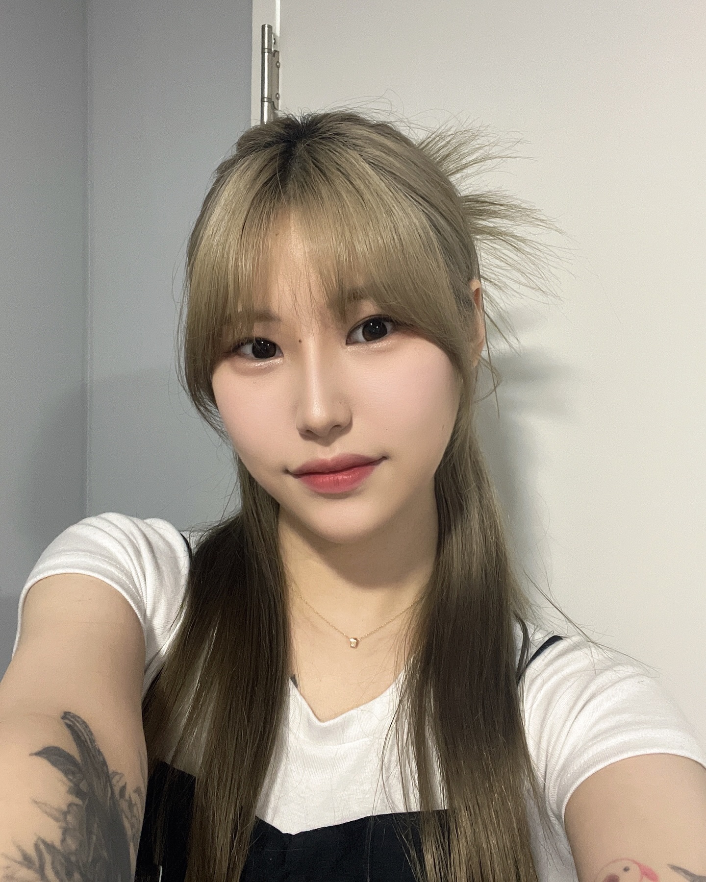 콘텐츠