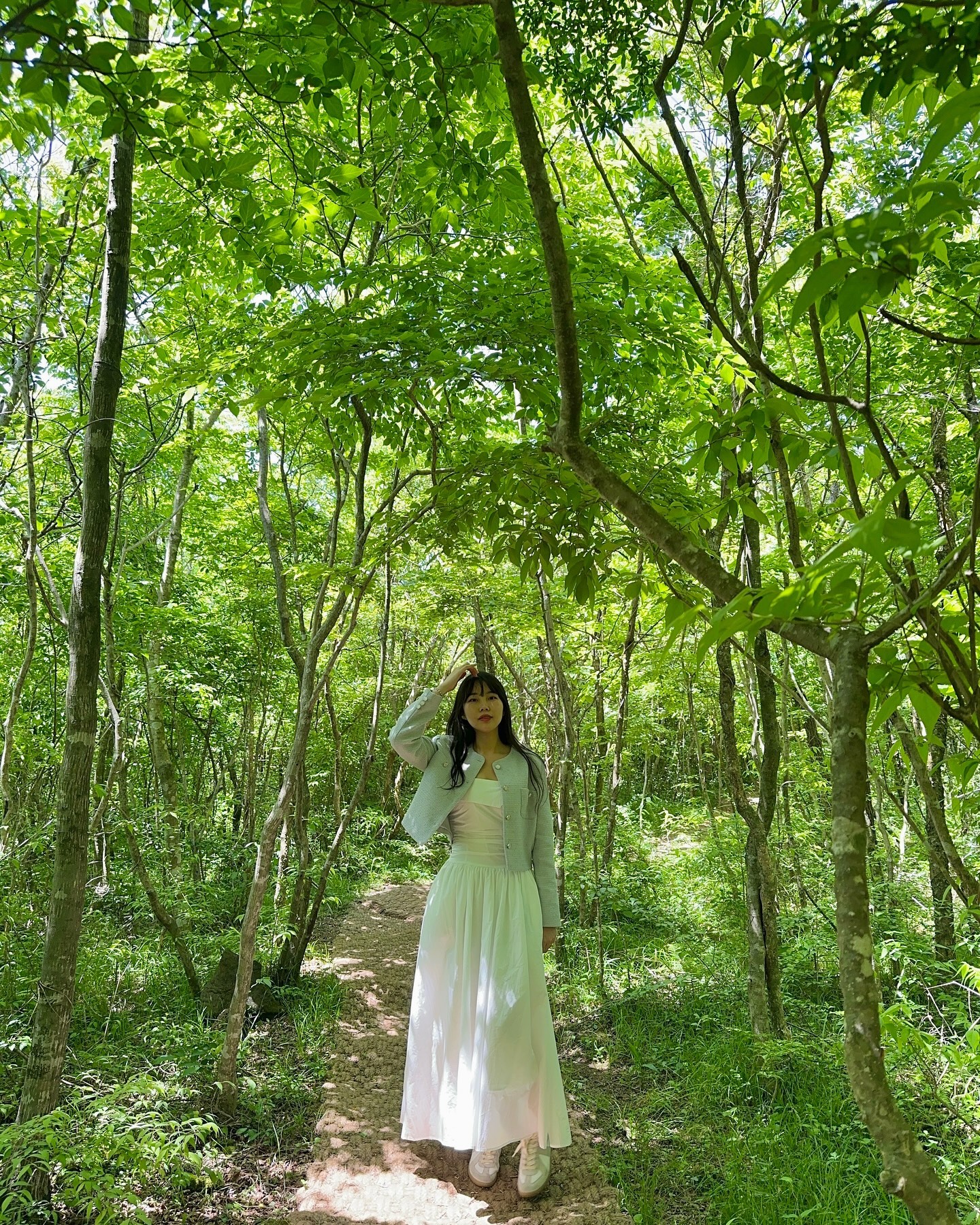 싱그러운 여름을 알리는 🌲

📍사려니숲길
제주 제주시 봉개동 산64-5
📸 작가 : __silver_z__
