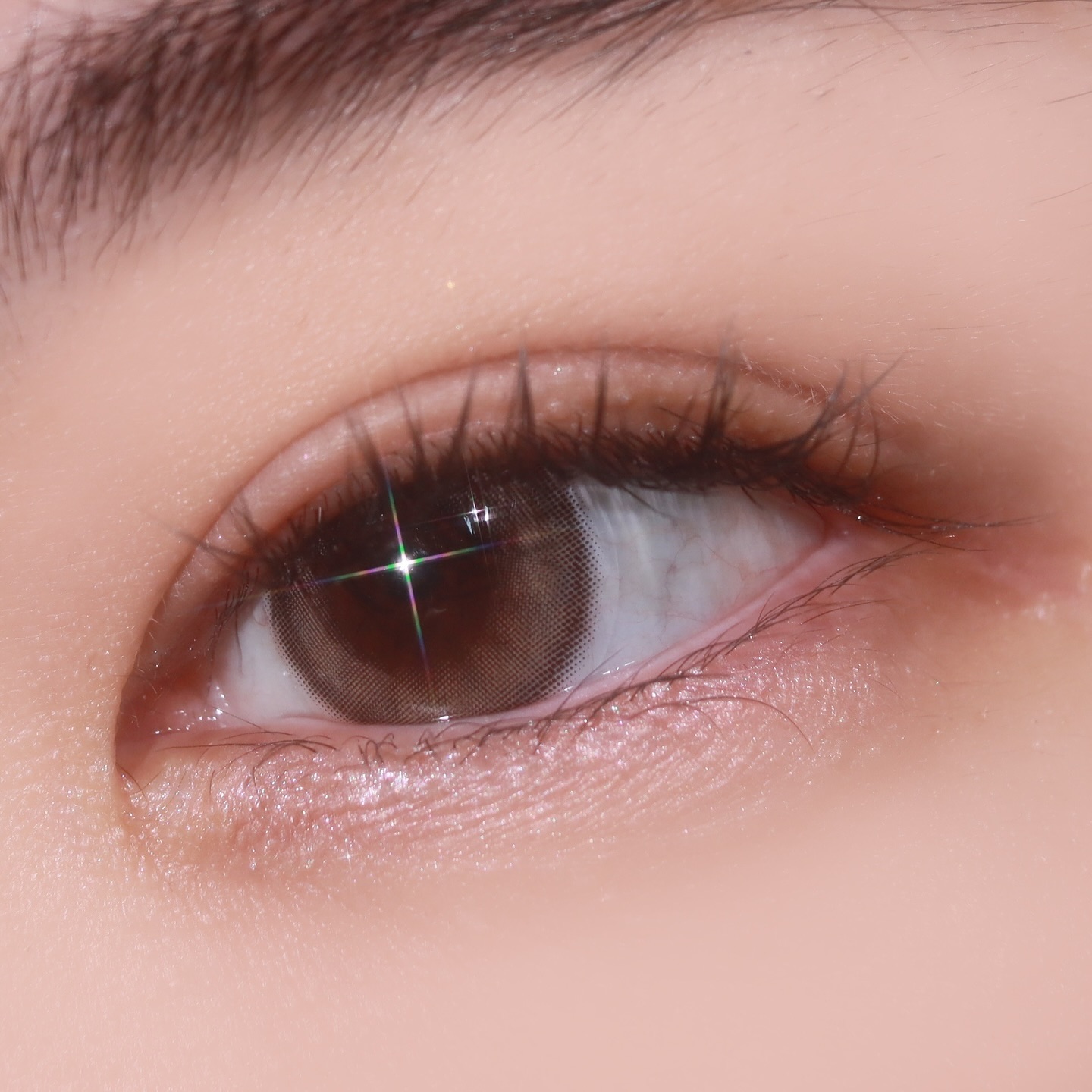 #제품제공 artriclens.kr 
뉴바이오 아트릭P #올리브 #베이지
/

첫장이 베이지, 두번째장이 올리브
올리브도 부담 없는 올리브 컬러
투톤 반반 그라데이션이 자연스럽고
그래픽이 예쁨.. 아무튼 예쁨..
데일리로 좋은 고급스러운 붉은기 최소화한 베이지 컬러와
그리너리하지만 또 막상 껴보면 자연스러운 올리브 컬러
그래픽 직경 13.4mm 인데 무척이나 자연스러움..💕

둘 다 자연스럽고 생기있는 눈동자,
베이지는 완전 제 데일리깔임(?)

/

#뉴바이오 #아트릭렌즈 #원데이추천 #원데이렌즈 #아트릭P #컬러렌즈