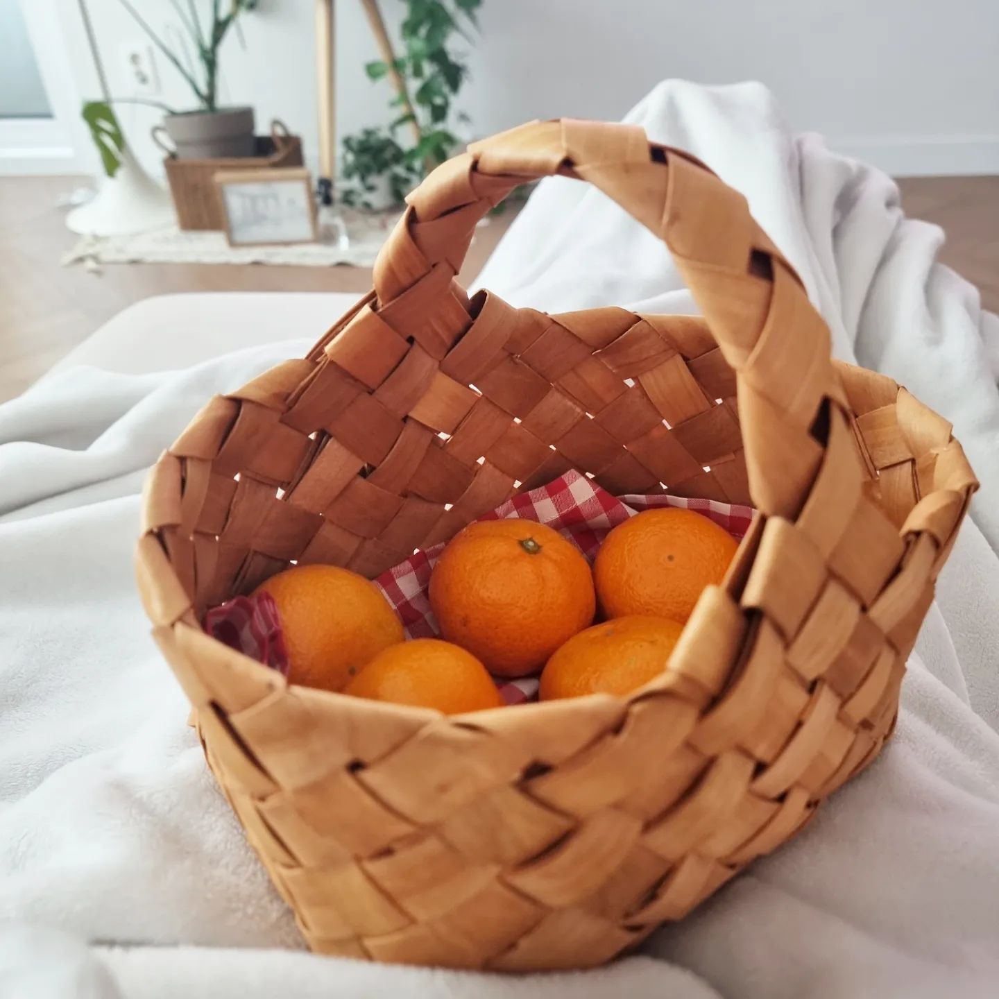 반가운 귤의 계절이 돌아왔네요🍊🍊
요즘 갑작스럽게 확 추워진거 같아요ㅜ

나날이 추운게 너무 너무 싫어지는거 같아요🥶🥶
감기 조심하셔요~~~~

#겨울 #귤 #겨울은간식의계절 #귤냠냠 #모닝 #우리집 #포근
