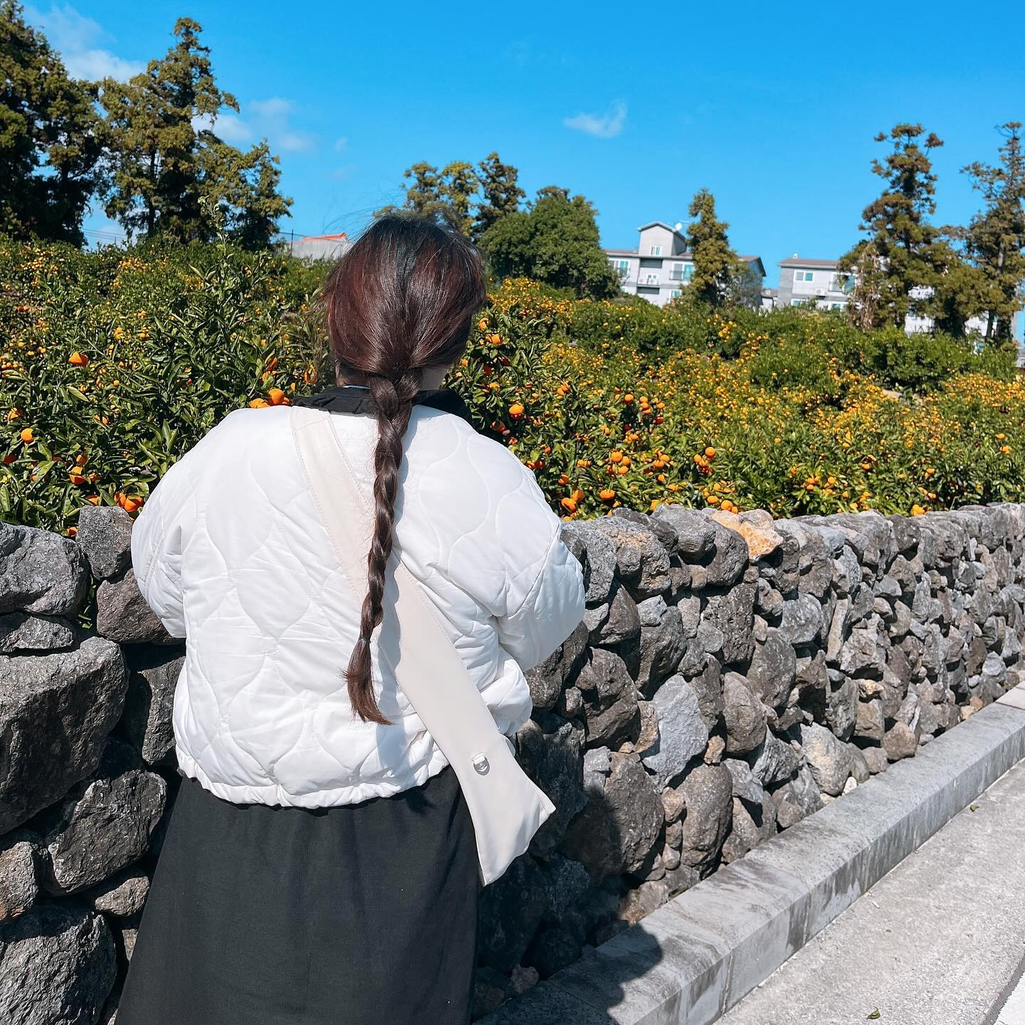 또 가고싶은 제주도🩵
학회 때문에 다녀왔었지만
최근들어서 진짜 여행으로 다시 가고싶다는 생각뿐...

언젠간 또 갈거야 제주도!