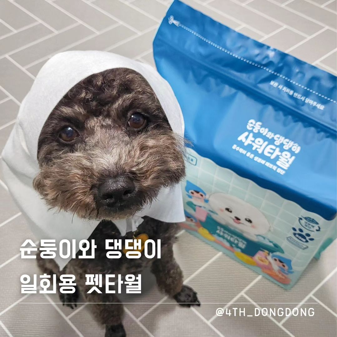 #협찬 soondoongi_pet #펫타월

반려견과 여름 휴가 계획하시는 분들! 모두 주목 😎
반려견이 바다, 수영장에 입수해도 문제 없다 😎

🔸️단 2장이면 소형견 목욕 👌❓️
광고주님께는 정말 죄송하지만 믿기지 않아서 테스트 해봤습니다 🙄
결과는 완전 쌉가능 👌
펄프 소재 레이온이라서 물을 아주 쫙~쫙~ 빨아들여요 💦
반려견과 놀러갈 때 따로 몇 장만 가지고 다니면 되니까 너무 편해요!
이번 여름 핫템은 바로 너다!

🔸️믿을 수 있는 브랜드 
영유아 물티슈를 생산하는 순둥이가
반려견쪽으로도 사업을 확장해 나가고 있어요 🐾
반려견 물티슈부터 시작해서 지금은 반려견 일회용 펫타월까지!
안전한 성분만을 사용하여 전과정 자체 생산하니 정말 최고 👍 

사실 일회용이다보니 환경에 대한 걱정이 좀 있었는데요.
생분해 소재여서 그래도 안심이더라구요.

동동이네처럼 반려견과 함께 여름휴가 계획하고 있는 분들!
진짜 꿀템 ☺️

#강아지수건 #반려견수건 #강아지타월 #펫타올 #펫타올추천 #강아지타올 #순둥이와댕댕이 #순둥이와댕댕이펫타올 #강아지목욕수건 #애견수건 #일회용펫타월 #일회용수건 #강아지용품 #강아지목욕용품 #강아지목욕수건 #강아지동반여행 #반려견동반여행 #여름휴가준비물