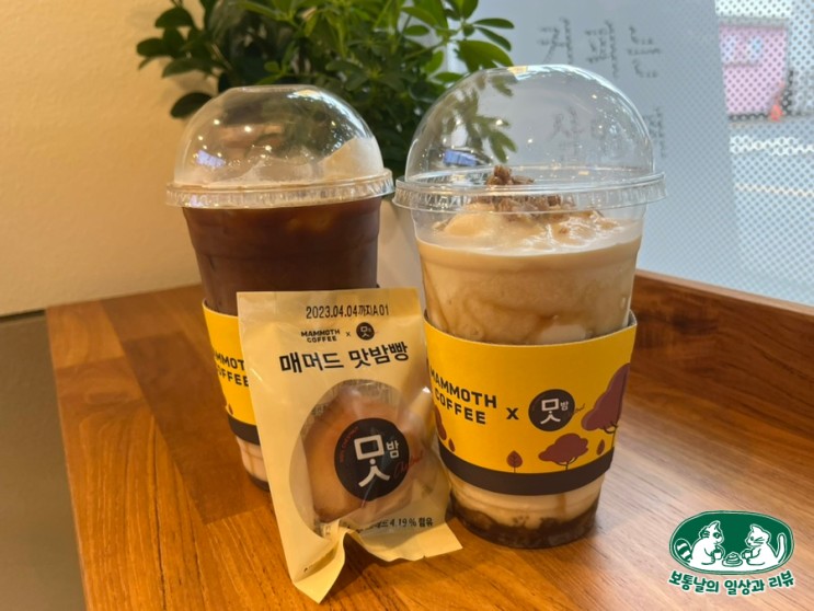 매머드커피X맛밤 가성비 좋은 매머드익스프레스 커피