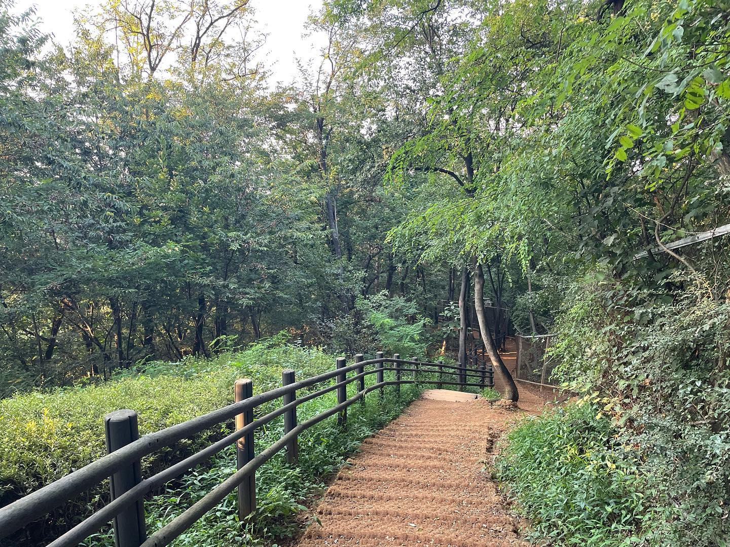갑분산책
예쁜 풀과 꽃🪻
#줌마감성#일상#산책