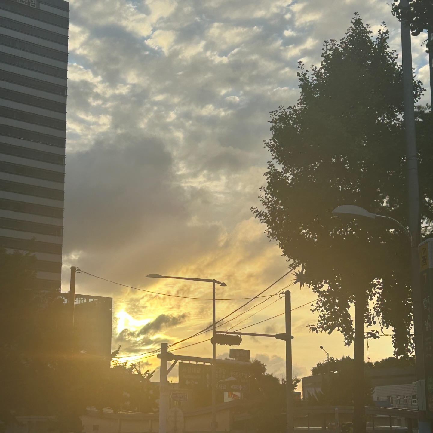DAILY BLOG IN JULY _ 3