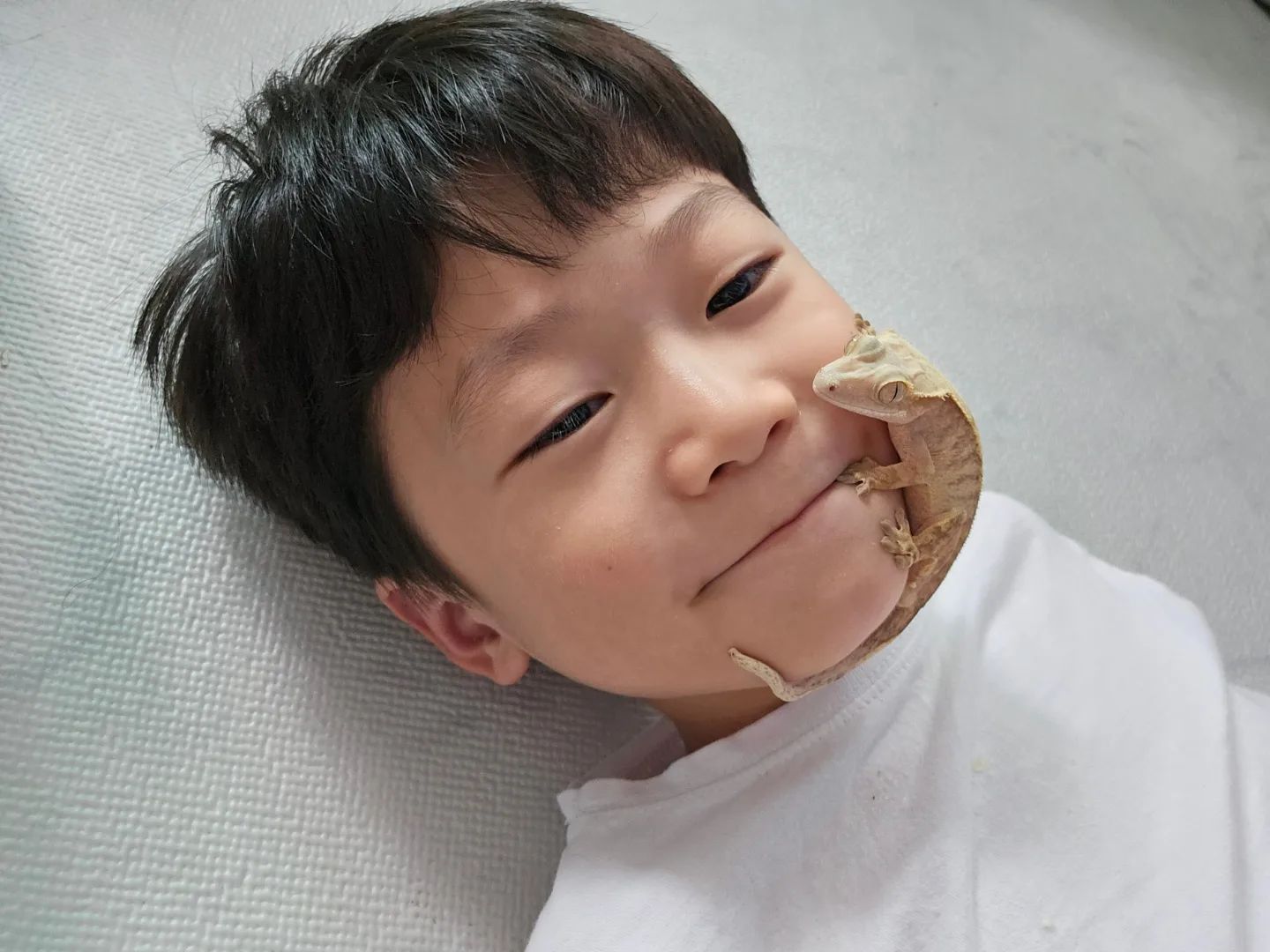 꿈틀이 안키웠었으면 어쩔뻔?!ㅋㅋㅋㅋ
동물을 너무 사랑하는 장남👍🧡
⠀⠀⠀⠀⠀⠀⠀⠀⠀⠀⠀⠀⠀⠀⠀⠀⠀
#크레 #크레스티드게코 #도마뱀키우기 #크레집사