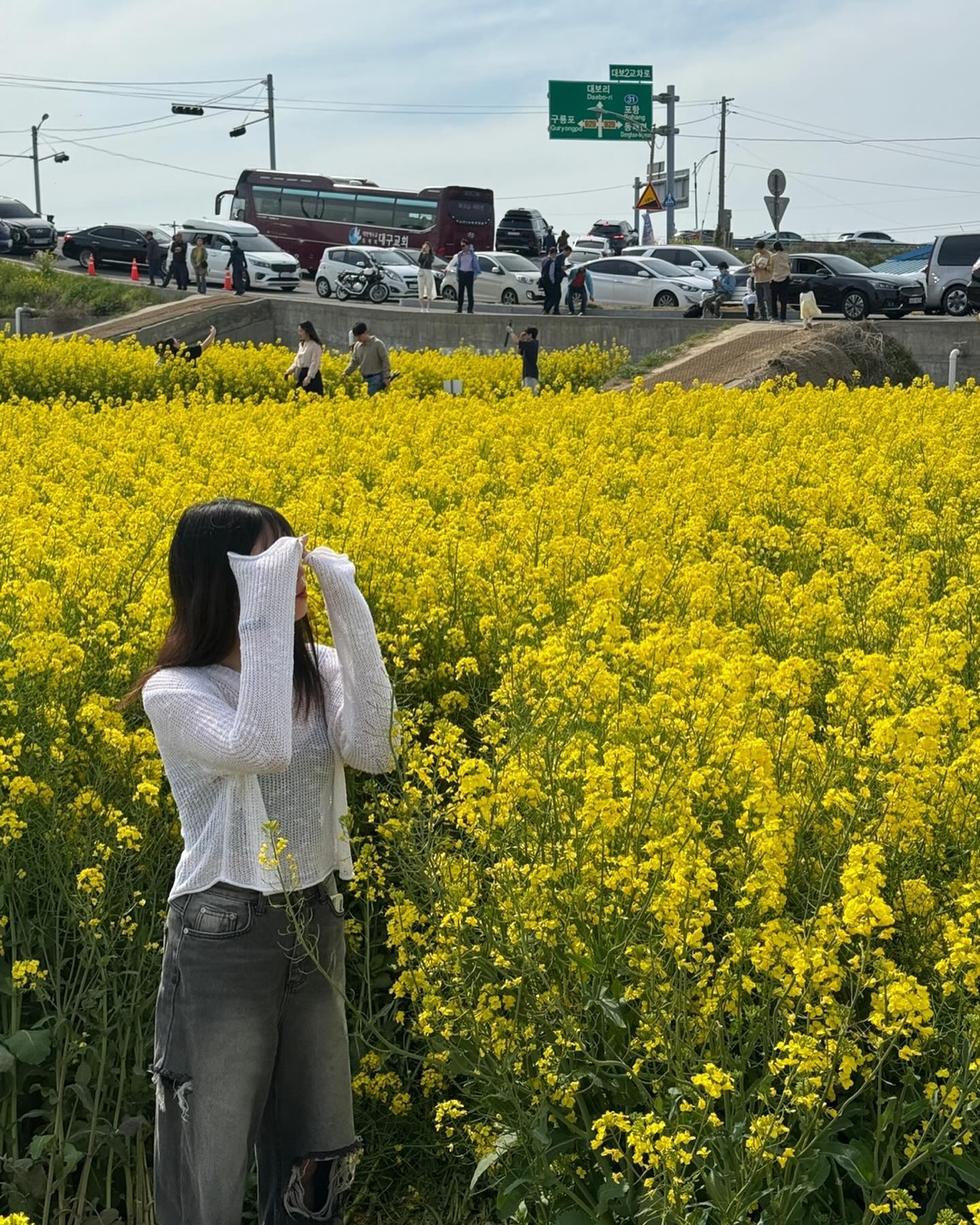 유채꽃 까꿍🫣