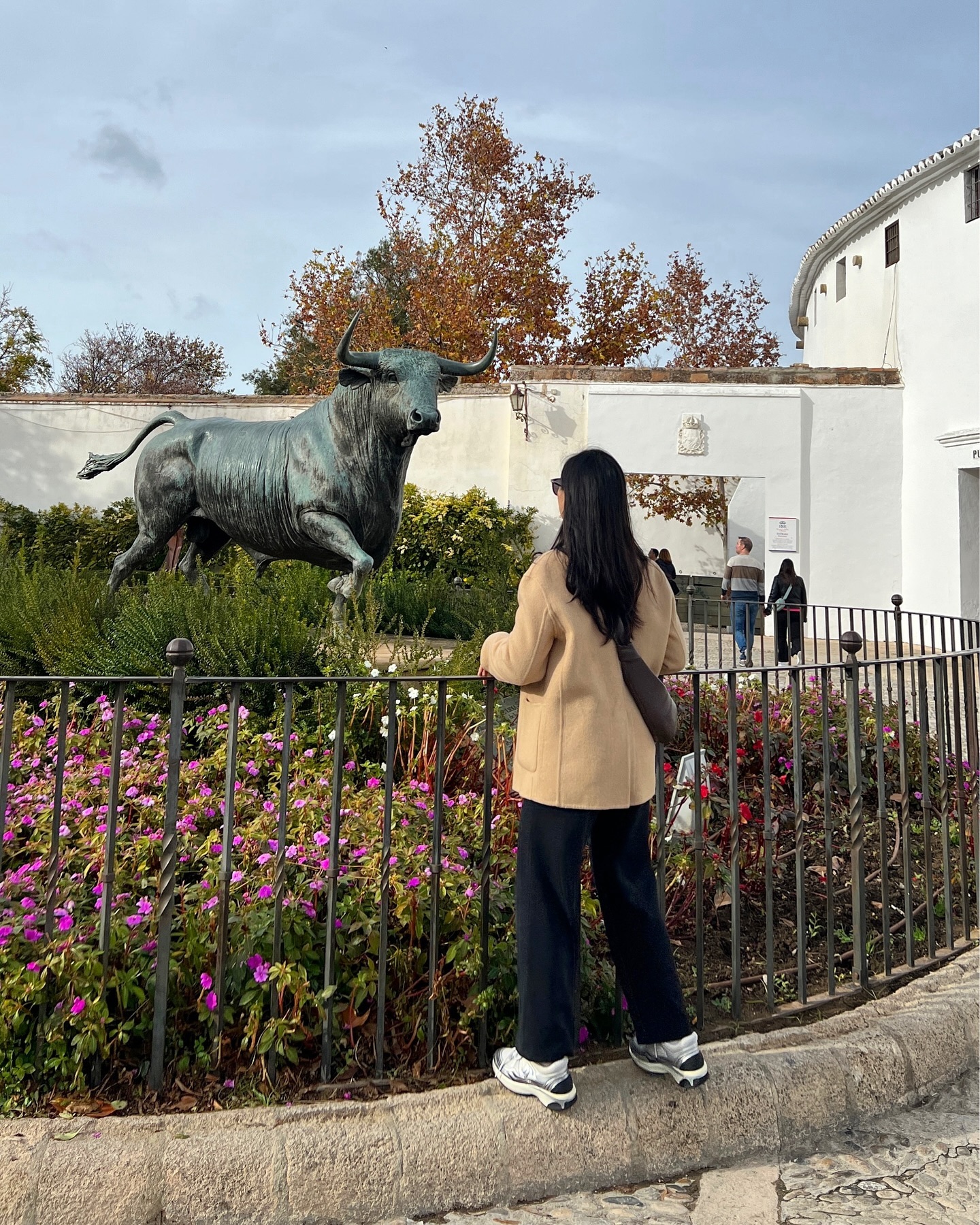 🐃 오지마라이😤 
#ronda #plazadetoros #andalucia #españa #spain #🇪🇸 #스페인 #론다 #투우 #🐃