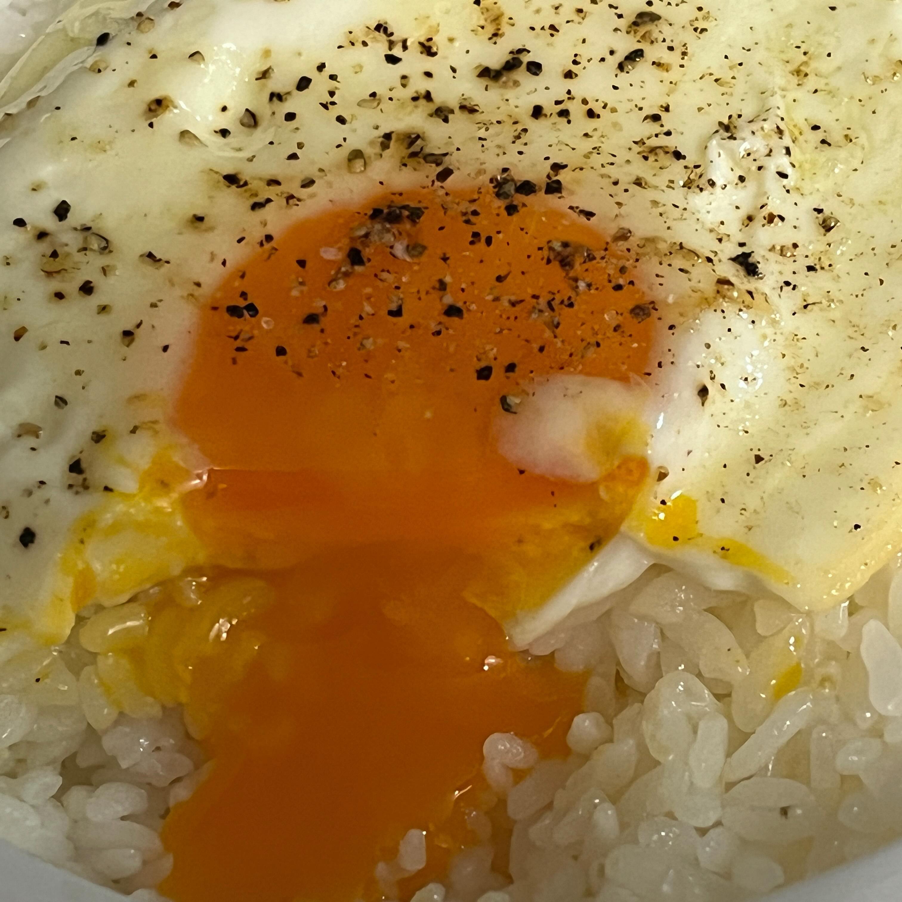 확실히 #무항생제계란, #동물복지계란 맛있음