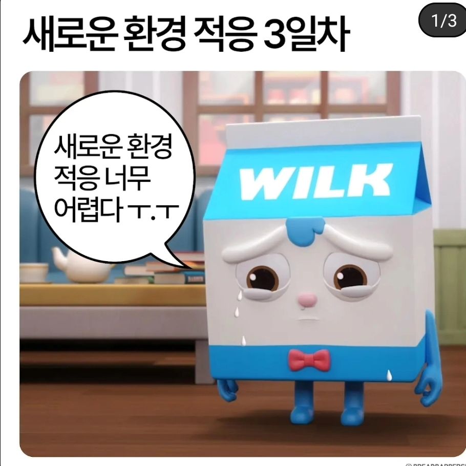 브레드당의 브레드 비서 윌크가 3개월 차라니 응원부탁드립니다

#브레드당 #브레드이발소 #월크 #3개월 #응원합니다  #좋아요  #팔로우 .