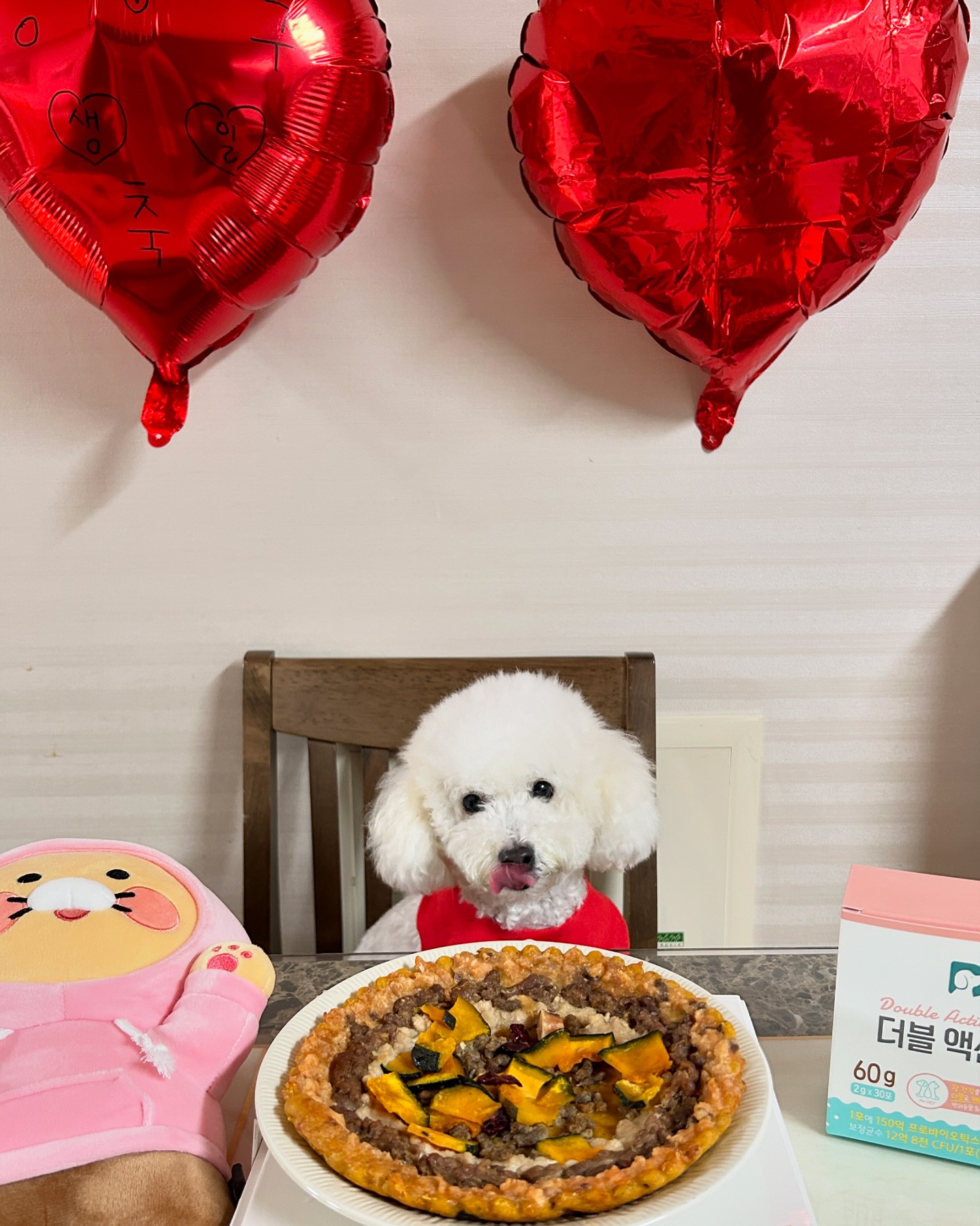 오늘 #짱구 #생일 #🎂

건강하고 행복한🐶강쥐가 되길 바라🥰

#생일축하해
#사랑둥이 
생일선물은 #유산균