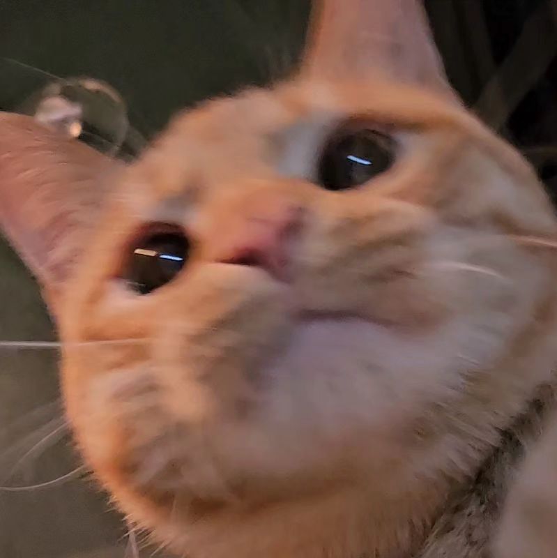 ㄱㅇㅇ ㄱㅇㅇ =ㅇㅈㅇ=
