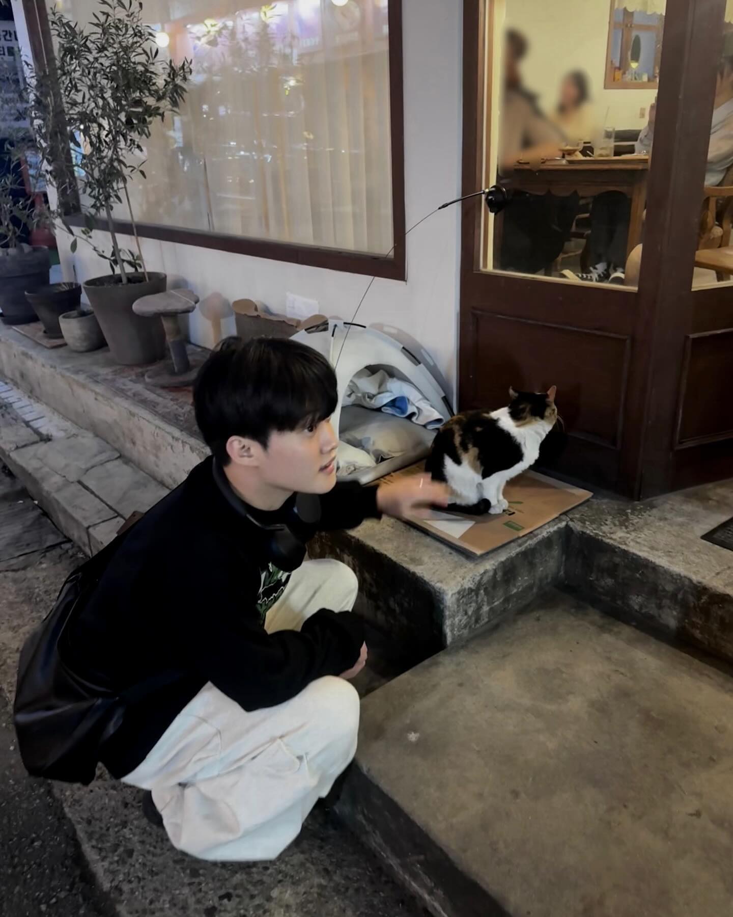 🐈