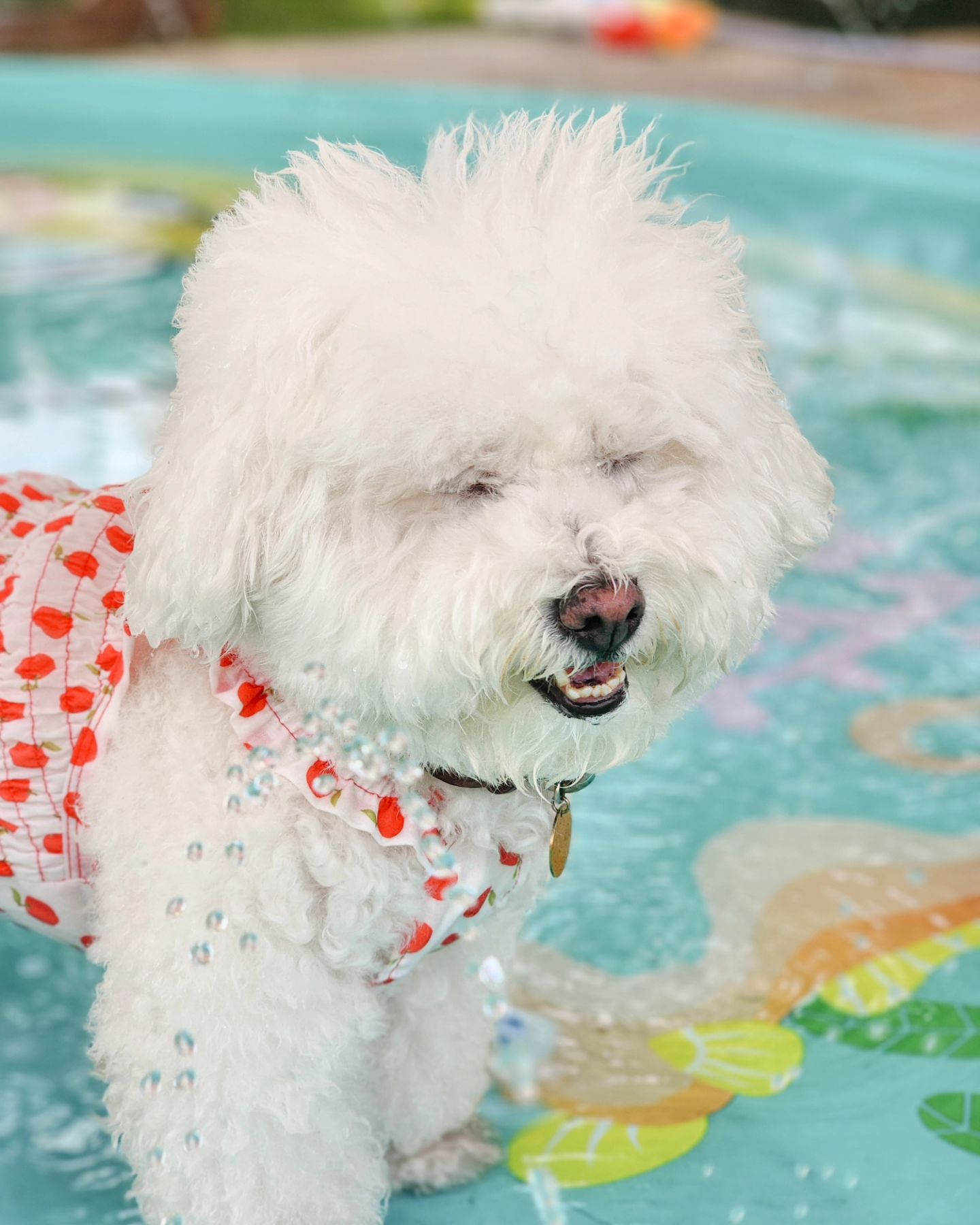 올해 첫 물놀이🌊💧⛱️
