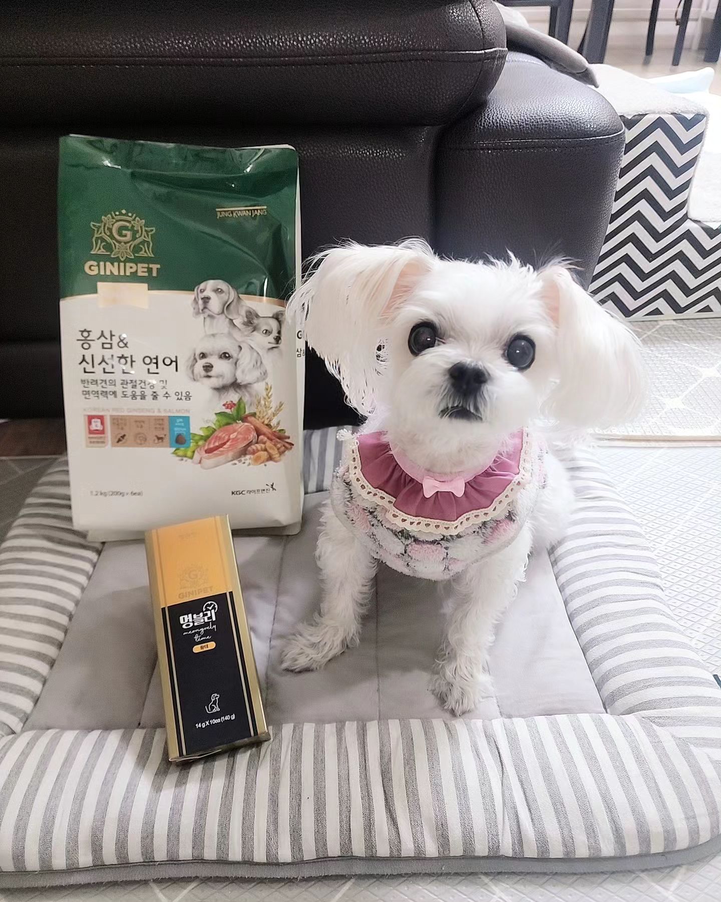 #협찬 지니펫] 멍블리타임황태&홀리스틱사료🐶 

우리 사랑스런 댕댕이들 건강 잘
챙겨줘야하쥬~💋
정관장 이름만 들어도 다~아시는 ㅎㅎ
정관정 지니펫에서 홍삼베이스 만든 간식 멍블리타임하구 홀리스틱사료를 협찬받았답니다👍
정관장 지니펫에서 "신제품으로 출시한"
홍삼이 들어간 간식 🎈멍블리타임(황태)
저지방 고단백질 황태와 닭고기 함유로
기호성과 영양까지 생각한 간식!!
오마나 사랑,행복이 너무 잘먹는거 있죠~🤩
✔️프로/프리바이오틱스함유로
장내유익균 증식및 배변활동원활에 도움을 주고 면역력에 도움을주는 홍상성분까지 함유~👏👏👏
건사료에 충족하기 어려운
영양소&비타민보충까지..
가족같은 반려견들 이왕이면 건강에 좋은 간식 줘야죠~개별포장으로 휴대하기도 너무 편리하더라구요☺️

홍삼베이스로 면역력에 좋은 
🎈홀리스틱사료 홍삼&신선한연어
홍삼이 좋은건 다~아시죠?
✔️면역력 항산화 피로개선
✔️혈소판응집억제 기억력개선등에 좋자나요~
저희 아픈행복이 노견인 사랑이한테 완전
안성맞춤이예요~🥰🥰
게다가 저희 강쥐들 진짜잘먹더라구요~ 기호성도 굿~👍
동물성 단백질로 영양가는 up
가수분해원료사용으로 건강up
알러지 DOWN
잘먹고 건강에도 좋은사료~요제품으로 먹여야겠어요~🫶

📌지금 지니펫 스토어 오픈기념 이벤트한데요~댕댕이들 건강에도 좋고 기호성도 굿인제품 행사할때 쟁이러 고고 해유~~😉
ginipet
💕지니펫 네이버 스토어 오픈 및 오픈기념 이벤트 상시할인 10%
사료 구매 시 간식/영양제 증정 ( ~ 02.04 )
간식/영양제 3개 구매 시 1개 추가 증정( ~ 02.04 ) 첫 구매 시 5% 할인 쿠폰 증정 ( 선착순 5,000명 )
알림받기 동의 시 1,000원 할인 쿠폰 증정 ( 선착순 5,000명 )
BEST PHOTO 리뷰 이벤트 ( ~02.04 )( 100명 선정, 02.07 발표 )
.
#홍삼 #반려견사료 #강아지사료 #강아지간식 #정관장 #가수분해닭고기 #액상포형간식 #지니펫 
#멍블리 #연어사료 #홍삼사료 #면역력사료 #강아지면역력 #반려견간식 #멍멍이 #댕댕이 #강아지 #댕플루언서 #멍스타그램 #강아지사료추천 #멍플루언서 
#닭고기사료 #댕스타그램 #댕팔맞팔