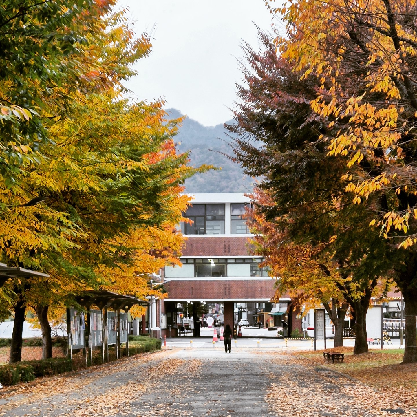 𝑵𝒐𝒗𝒆𝒎𝒃𝒆𝒓 🍂

#11월