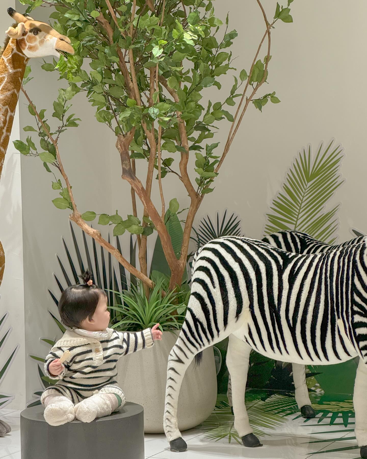 오늘은 얼룩말 컨셉🦓

루다언니랑 커플옷이 이제야 잘 맞네ㅋㅋ
같이 입은거 보고싶당☺️
.
.
.
.
.
#어제#372days#12개월아기
#아기얼룩말#🦓