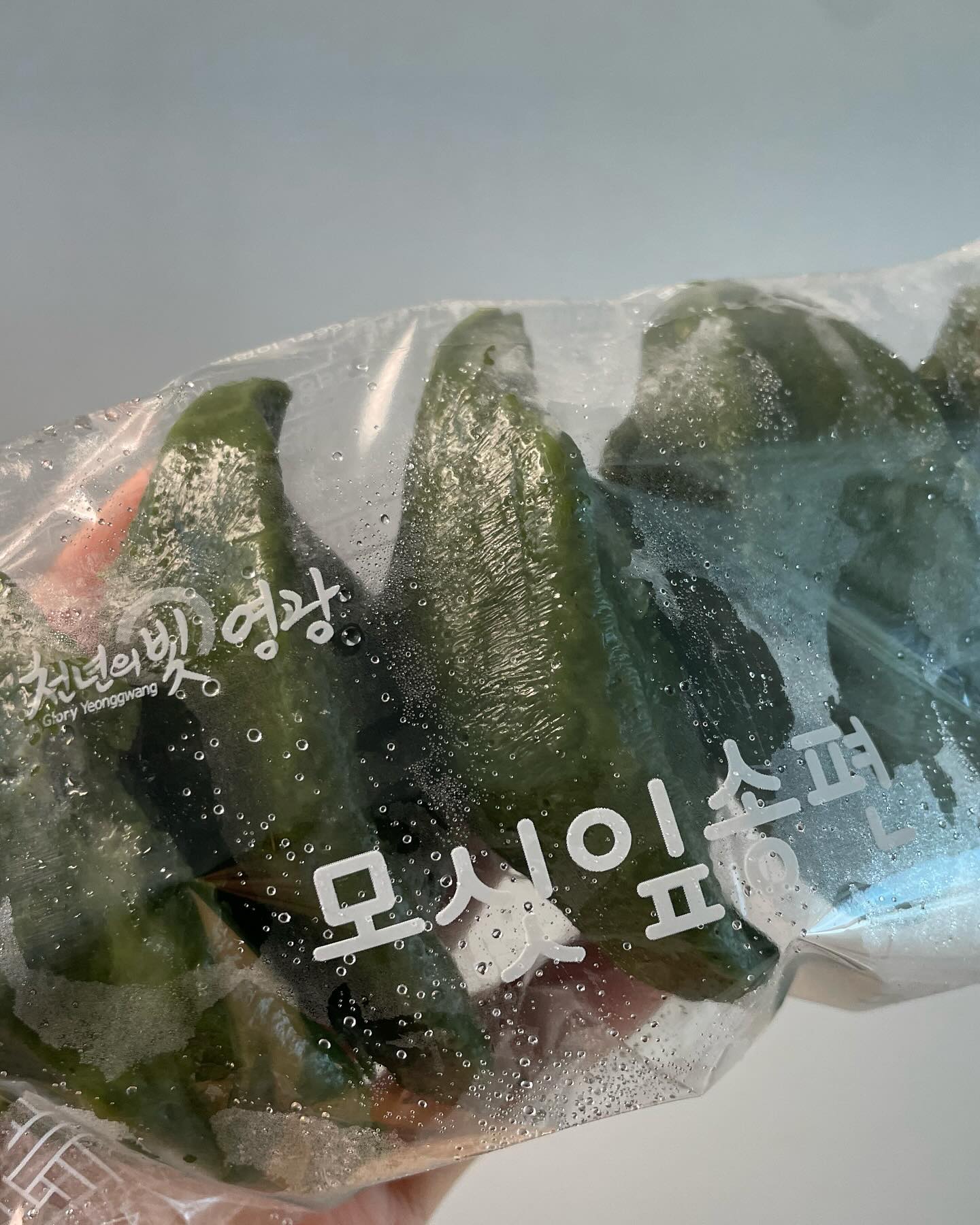 모싯잎송편 영광모시송편

산 좋고 물 좋은 전라남도 영광
서해안 바다와 가깝고 굴비로 또한
유명한 고장에서 모싯잎송편 영광모시송편도
맛있다고 해서 주문해서 시식까지 해봤습니다.
​
사실 개인적으로 떡은 별로 선호하지 않는데요
가끔 간식으로 먹으면 맛있더라고요
모싯잎송편 영광모시송편을 먹고 오늘부터
떡 (송편) 매니아가 되었습니다. ㅎㅎ

#협찬

#모시송편 #영광모시송편
#영양간식 #간식추천 #야식추천
#모싯잎떡