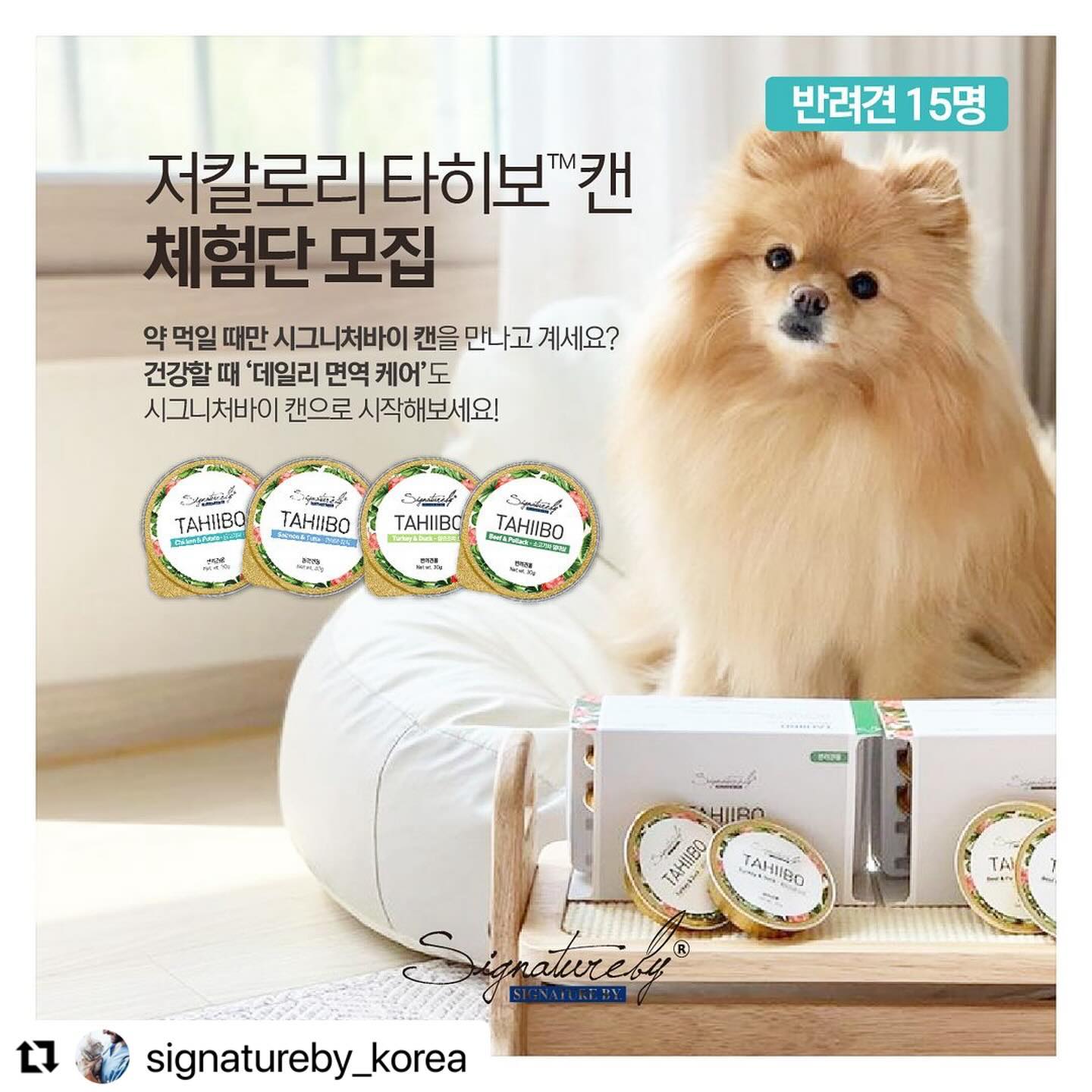 #Repost signatureby_korea with use.repost
・・・
🐶건강캔 체험단 모집! 데일리 건강 케어 잘 하고 계신가요? 
아플 때 치료도 중요하지만 ⚠️아프기 전 예방이 더 중요하답니다!
 
본 체험단은 반려견 전용 제품 체험단입니다! 
😺반려묘는 다음 피드의 반려묘 체험단을 통해 응모해주세요!

매일 먹여도 칼로리 걱정없는 저칼로리~!
항암, 면역, 항산화 기능이 있는 타히보(Taheebo)를 우려낸 육수가
각 제품에 50mg씩 함유!

아직도, 약 먹일 때만 시그니처바이 캔을 만나고 계신가요?
건강할 때 ’데일리 면역 케어‘도
시그니처바이의 타히보캔과 함께 시작해보세요!

[타히보캔, 왜 좋을까요?🏆]
✅ 면역, 기력회복 및 건강에 도움
✅ 살찔 염려 없는 저칼로리 건강캔
✅ 無 보존제, 無 인공색소

칼로리, 면역력 관리가 신경쓰인다면
시그니처바이 타히보캔으로
데일리 케어 시작해주세요!

🎁🎁우수후기로 선정된 3분께는
5만원 상당의 시그니처바이 제품을 추가 증정🎁🎁

✅ 체험제품(아래 제품 중 2종)
- 타히보독 소고기와 명태살(30gX8EA)
- 타히보독 칠면조와 오리(30gX8EA)
- 타히보독 닭고기와 감자(30gX8EA)
- 타히보독 연어와 참치(30gX8EA)

✅ 모집기간 : 2024/01/31 ~ 02/18
✅ 모집인원 : 15명(반려견)
✅ 체험단 발표 : 2024/02/21(수), 개별 DM 발송
✅ 신청방법
✔️시그니처바이 인스타(signatureby_korea)팔로우 후
댓글로 신청 사연을 달아주시면 끝!
✔️본 게시물 리그램 및 친구 태그 시 선정 확률 UP!

#시그니처바이 #signatureby
#타히보 #시그니처바이타히보 #타히보캔
#체험단 #강아지캔 #개면역력 
#강아지면역항암항산화