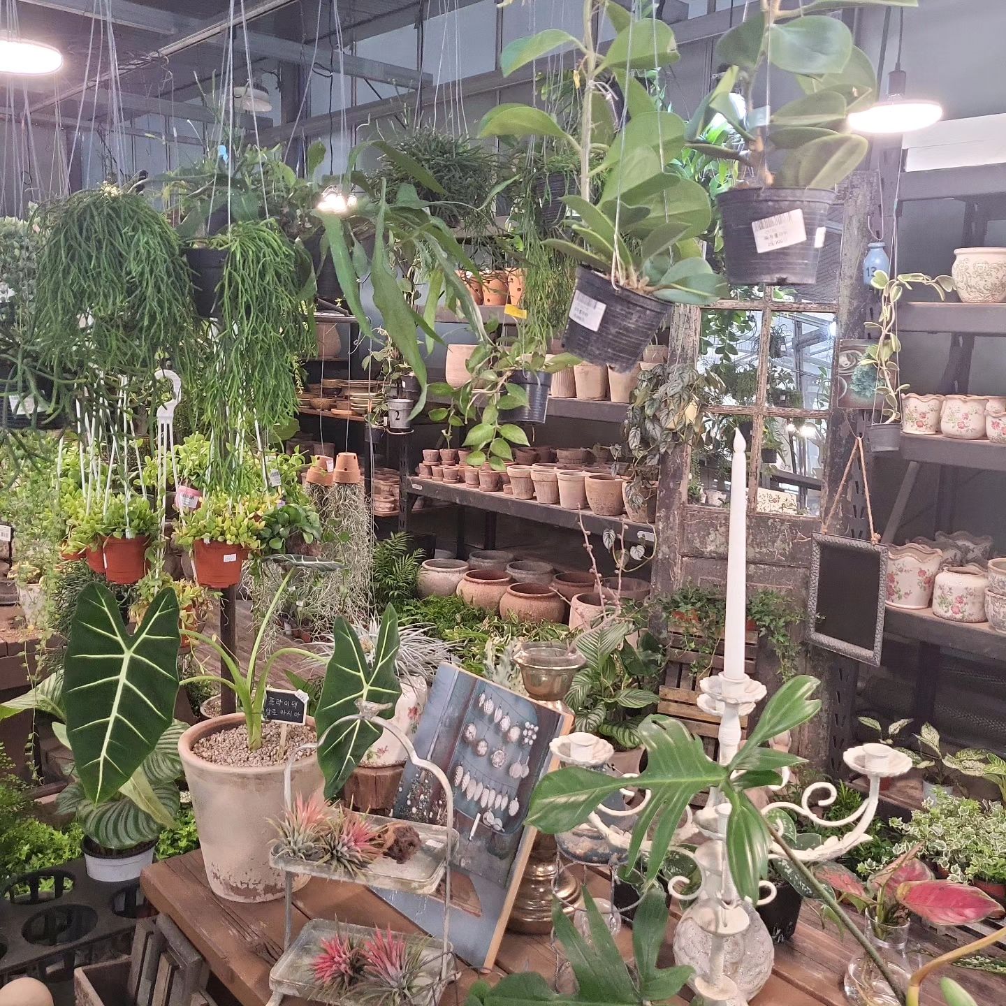 🫒

요즘 나의 잔잔한 일상들

1. 다른 직업을 가진다면 식물들과 함께 하지 않을까 🌿
2. 오늘, 책들고 도서관 
3. 어제의 서점 산책 : 🍊는 책말고 퍼즐과 슬라임을 🤭
4. 서점오는 즐거움만 알아도 되었다.
5. 좋은 페이지는 저장
6. 6개월차 필린이 기록

#작지만소중한
#일상들
#책기록