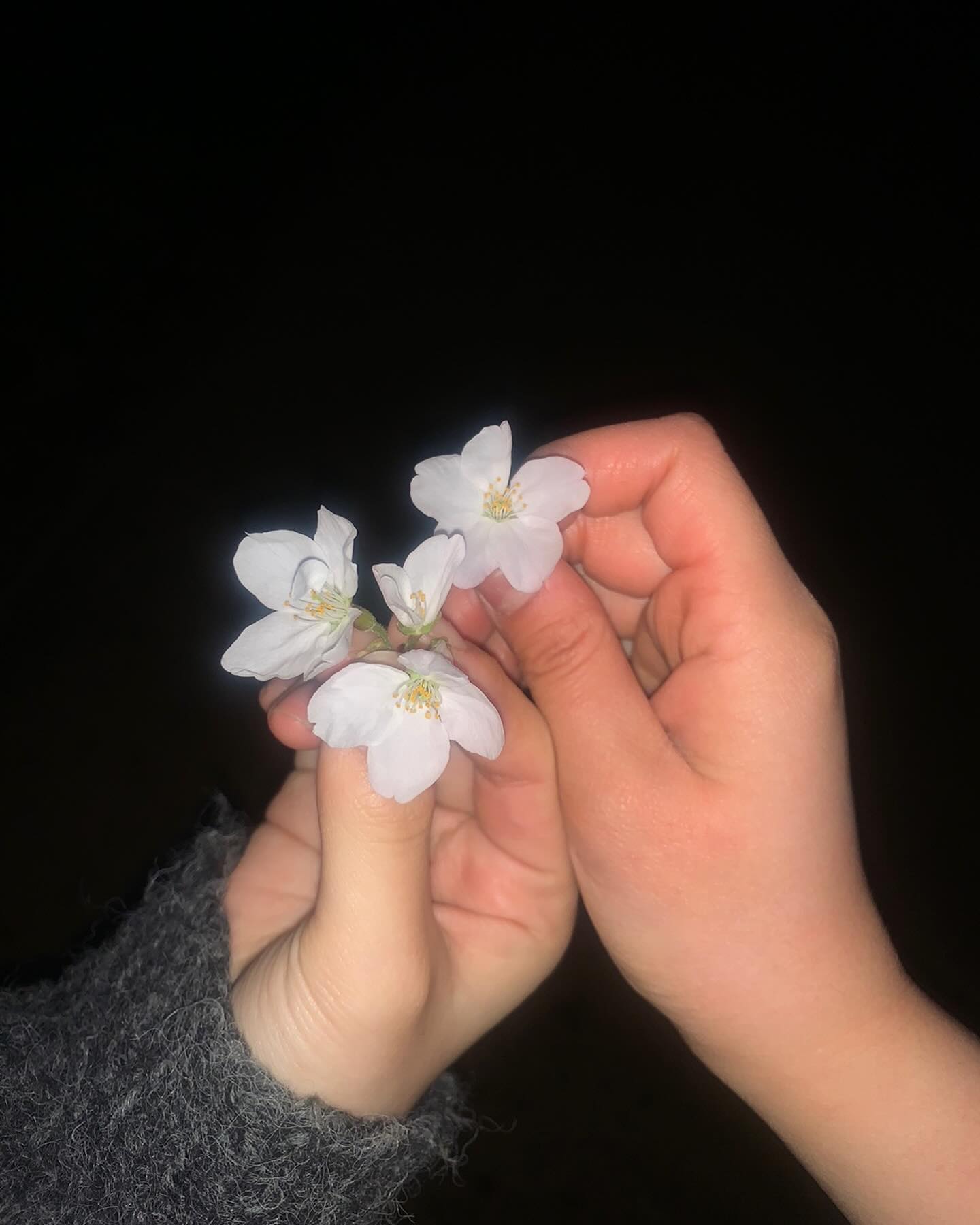 콘텐츠