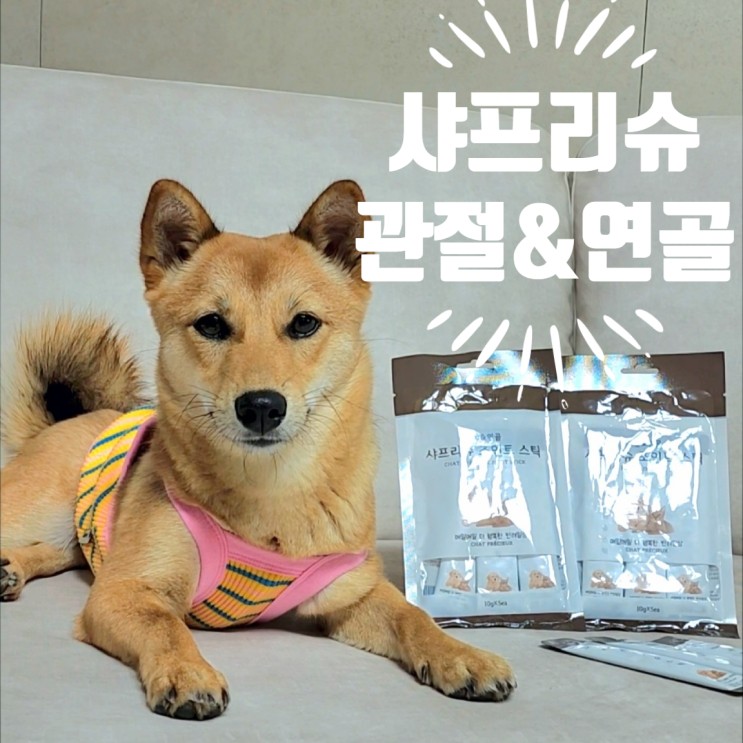 강아지 슬개골 탈구방지를 위한 강아지 관절 영양제 추천! 샤프리슈스틱