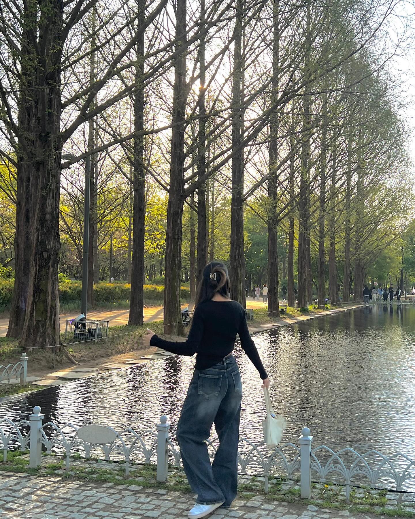 🌳