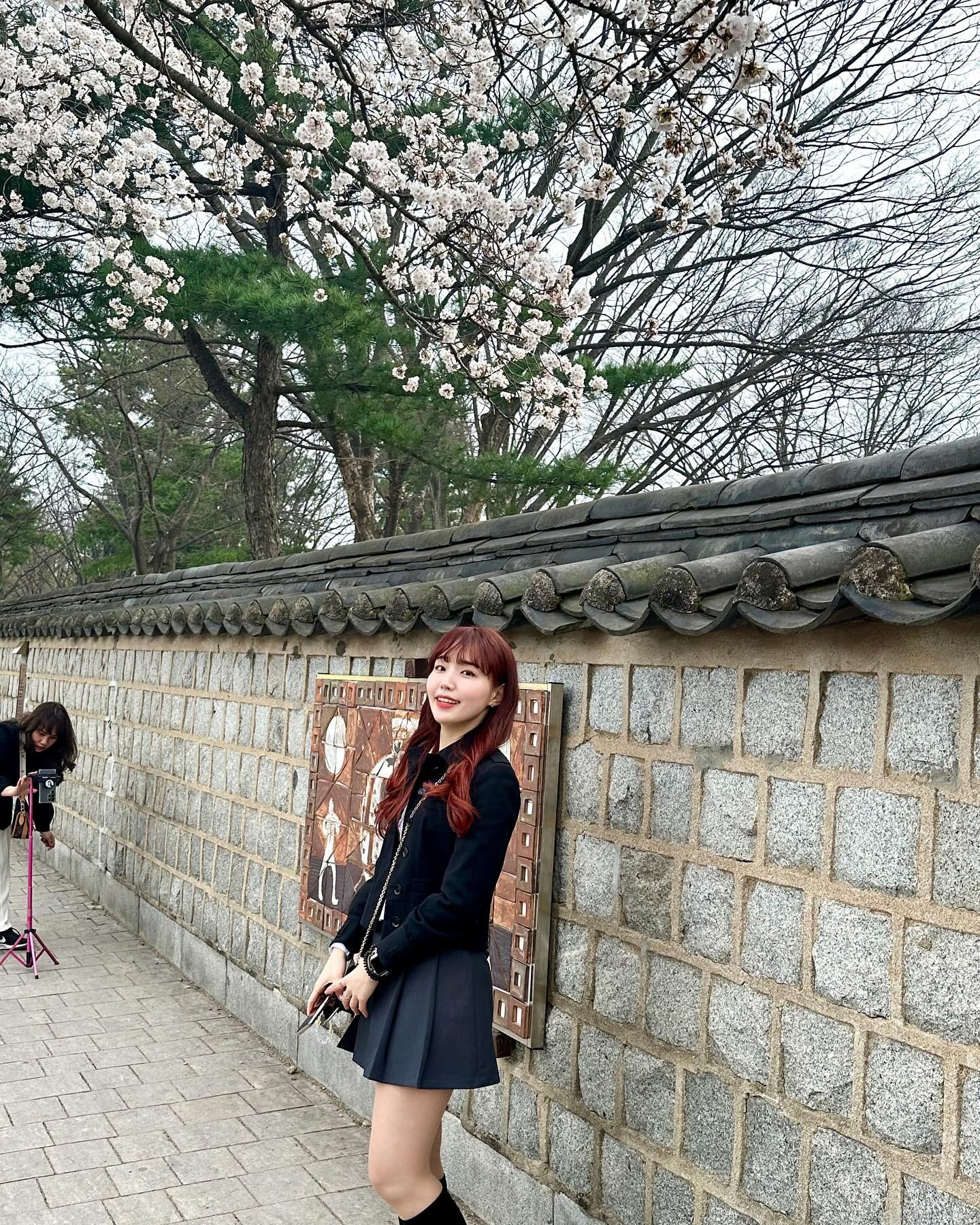 완벽했던 경주 벚꽃 여행🌸