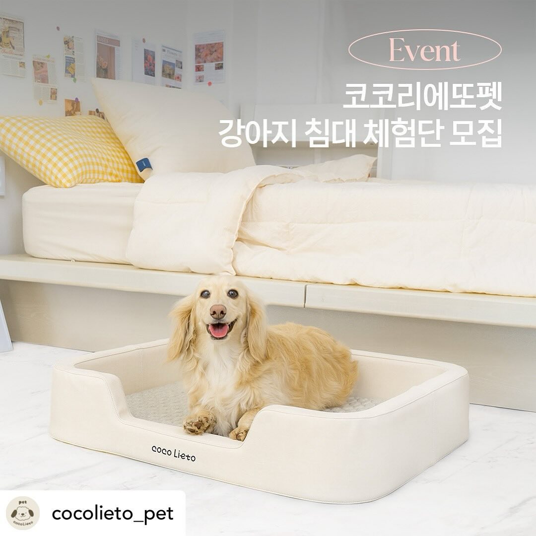 Posted withregram • cocolieto_pet #체험단 #체험단모집 #코코리에또펫침대

코코리에또 프리미엄 펫 침대🐾
체험단 모집🙋
판매 1위! 사각 크림 펫 침대🐶

✔ 강아지의 입질에도 안 찢어지는 PU 폼 프레임
✔ 커버 분리 세탁으로 편한 위생관리!
✔ 관절과 허리에 부담을 예방하는 무게 분산형 방석
✔ 노령견과 슬개골을 위한 논슬립패드와 높낮이 입구
✔ 산책 후 피부병 예방에도 좋은 볼트론 항균 원단

코코리에또 시그니처 프리미엄 펫 침대를
무료로 체험해 볼 수 있는 기회!
간단한 미션 수행하시고 도전해 보세요~😍
미션 수행 시 아래 사항 확인해 주세요!

📍 이벤트 제품
코코리에또 프리미엄 펫 침대 사각 크림

📍 선정 인원
2명

📍 참여방법
1. 코코리에또펫 계정 팔로우(필수💗)
2. 해당 게시물 좋아요 누르기
3. 강아지 견종과 몸무게와 함께 ”#코코리에또펫침대“댓글 남기기

모집 기간:~05/03(금)
당첨자 발표: 05/07(화), 공식 계정 발표 및 개별 DM 안내

📍 참여 꿀팁
본 게시물 리그램과 댓글에 친구를 소환하면 할~수록
🔥🔥당첨확률 UP UP🔥🔥

본 제품은 10kg 내 강아지에게 권장하나 등길이 및 견종에 따라 차이가 있는 점 양해 부탁드립니다🥰

코코리에또 프리미엄 펫 침대에 대한 제품 정보는 상단 프로필 링크를 확인해 주세요😘
.
.
.

유의사항
※ 당첨 시 인스타 피드 후기 작성은 필수입니다.
※ 작성해 주신 후기와 사진은 다양한 마케팅 용도로 활용될 수 있습니다.
※ 비공계 계정은 참여가 불가합니다.
