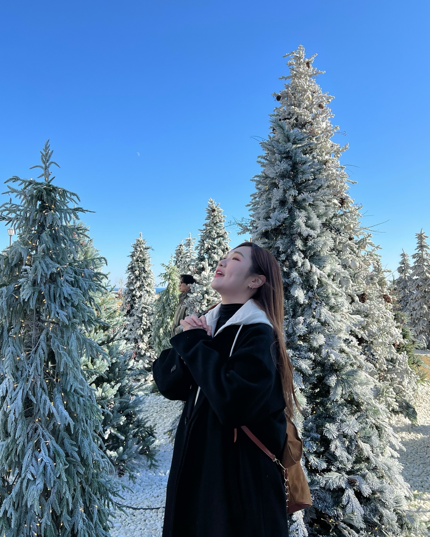 Make a Wish,,❄️
.
.
.
.
.
#12월 #겨울 #2024 #막달 #셀피 #사진 #데일리 
#daily #insta #selfie #photo #wish🕊️