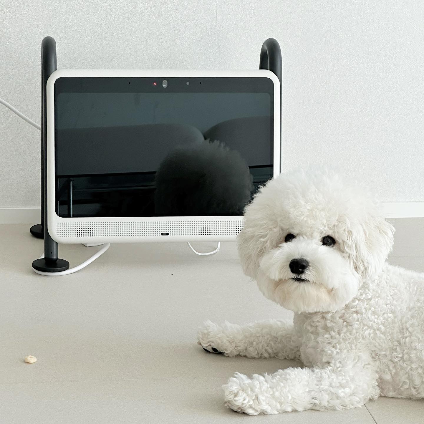 #협찬 dogsplay_official

혼자 있는 시간을 두려워 하는 히구
집에 혼자 둘 땐 노즈워크 + 음악 + 펫캠
3종세트 완벽하게 준비하고 외출하고 있어요.

독스플레이는 이런 히구에게 딱 필요했던 강아지TV
혼자있는 반려견과 단독으로 두기에도 안전한 디자인
그리고 강아지들이 보기편한 강아지 시각에 특화된
특허기술 독스필터 적용 가능한 
반려견 전용 컨텐츠를 제공합니다.

✔️Full HD 도그필터 디스플레이
✔️독플리스 컨텐츠
✔️양방향 영상통화
✔️도그스피커
✔️실시간 알림
✔️쉬운 앱 사용

모션센서 기능이 있어서 반려견 접근 감지하고
강아지들이 물어 뜯어도 안전한 안전케이블 !
스피커도 화면도 강아지 맞춤이라
TV에 관심없던 히구도 잘 쳐다보고 구경해요♥️

그리고 히구가 펫캠은 때리고 깨물어서
보다보면 애가 넘어가있고 화면 꺼져있는 경우가 많아요.
도그플레이는 튼튼해서 충격에도 넘어지지 않는다는 사실

펫캠뿐만 아니라 영상통화까지 가능해요๑•‿•๑
직장생활 하는 집사님들께도 추천드려요 !

#독스플레이 #강아지tv #dogsplay
#신제품 #반려동물용품 #반려견 #강아지
#도그tv #강아지제품 #출시 #펫테크
#펫캠 #강아지음악 #분리불안 #애견용품