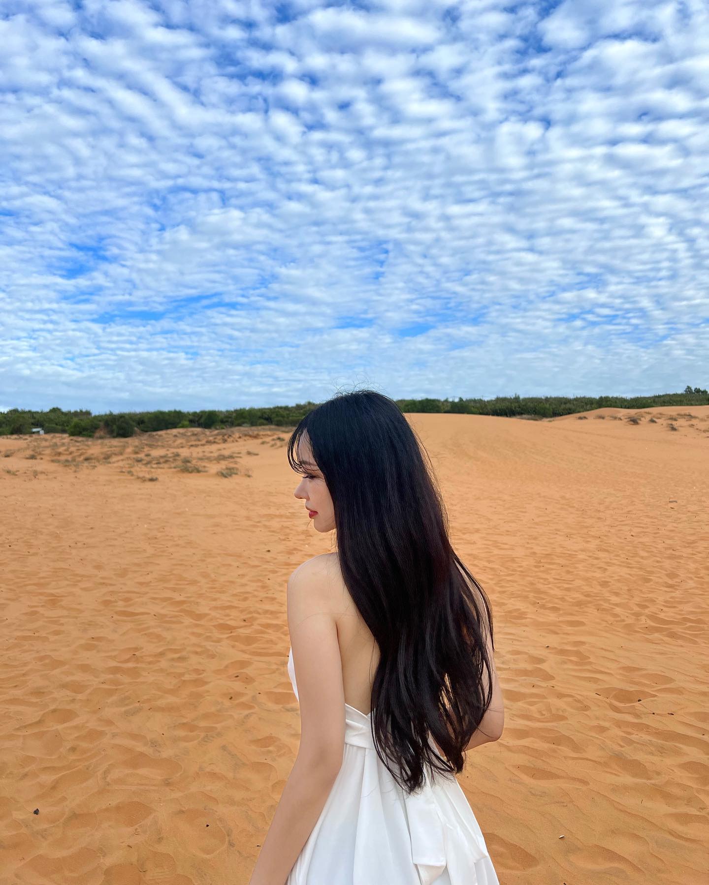 🏜️🌵