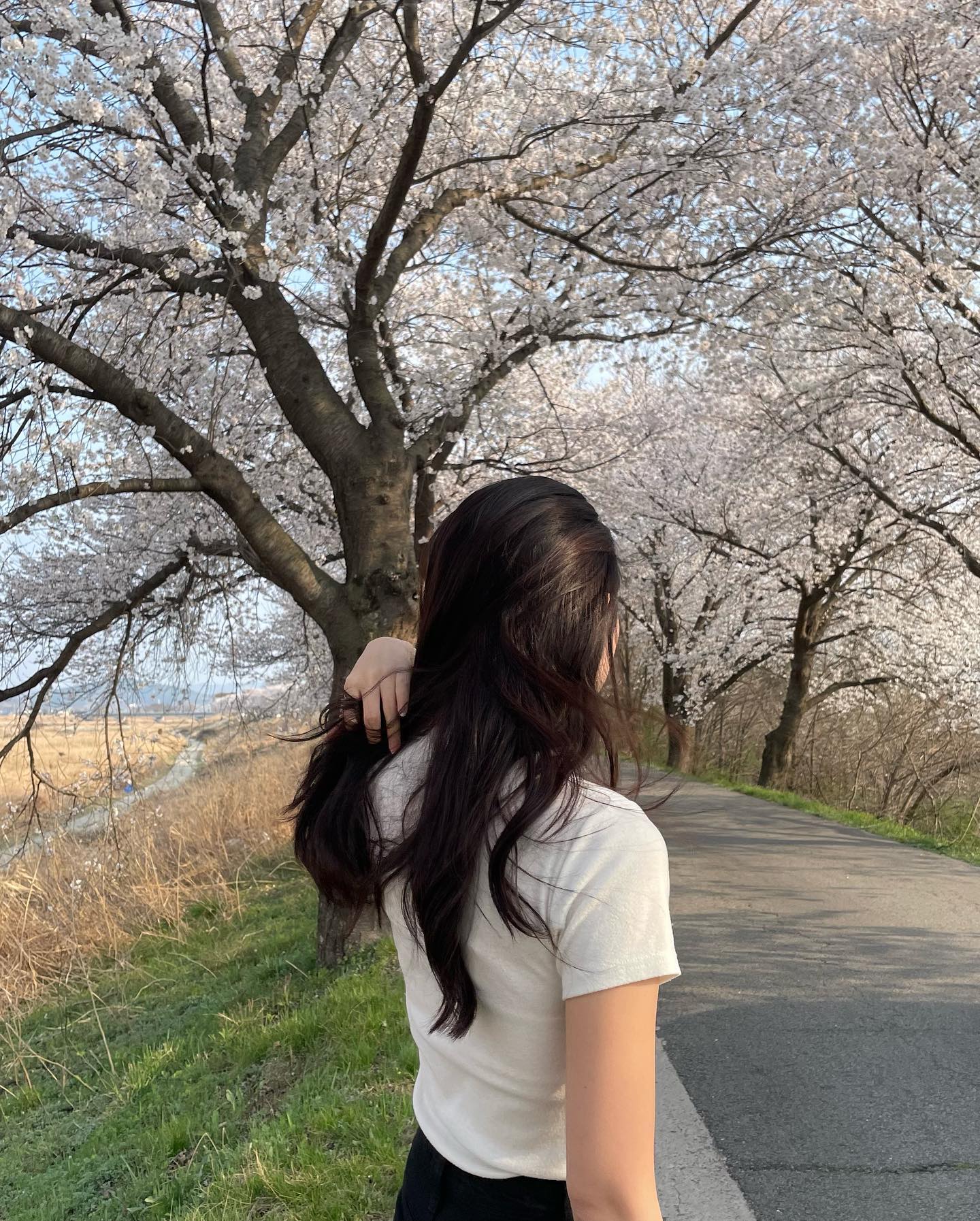 미루고 미룬 봄